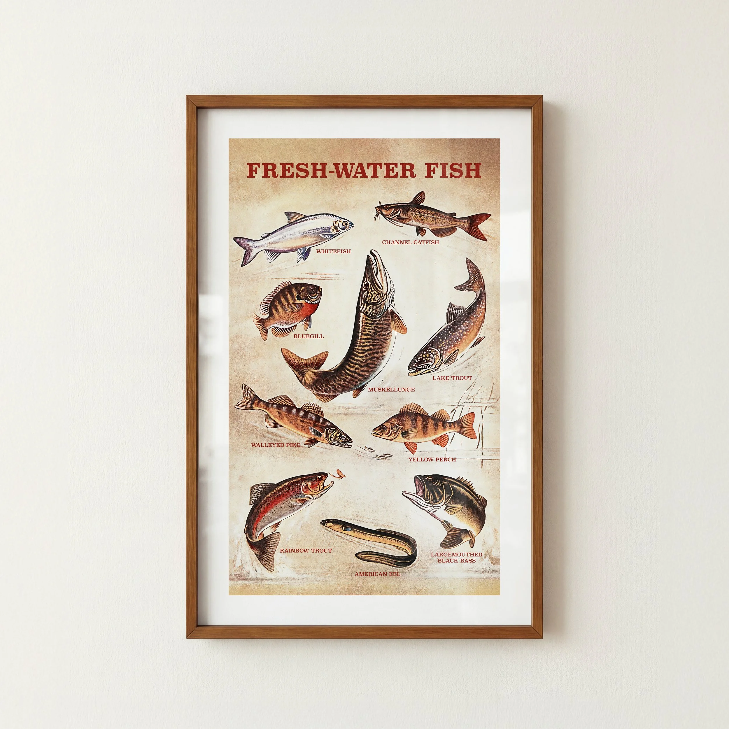 Fresh-water Fish Types Print - Retro Lake House Poster