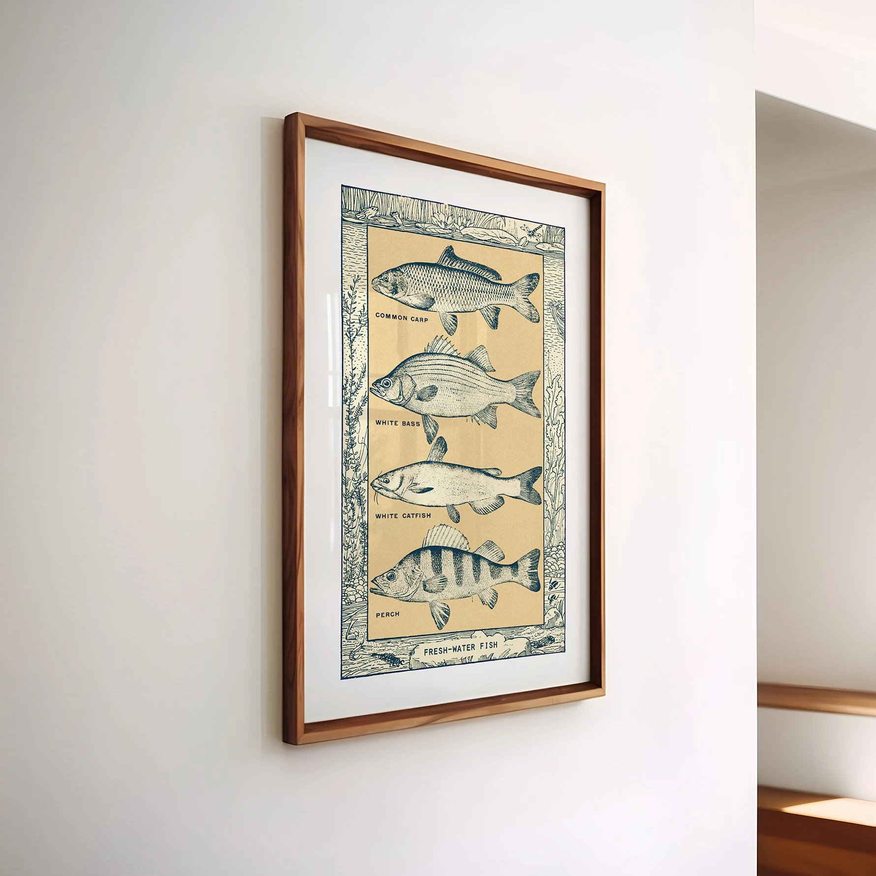 fishtypes-print.jpg