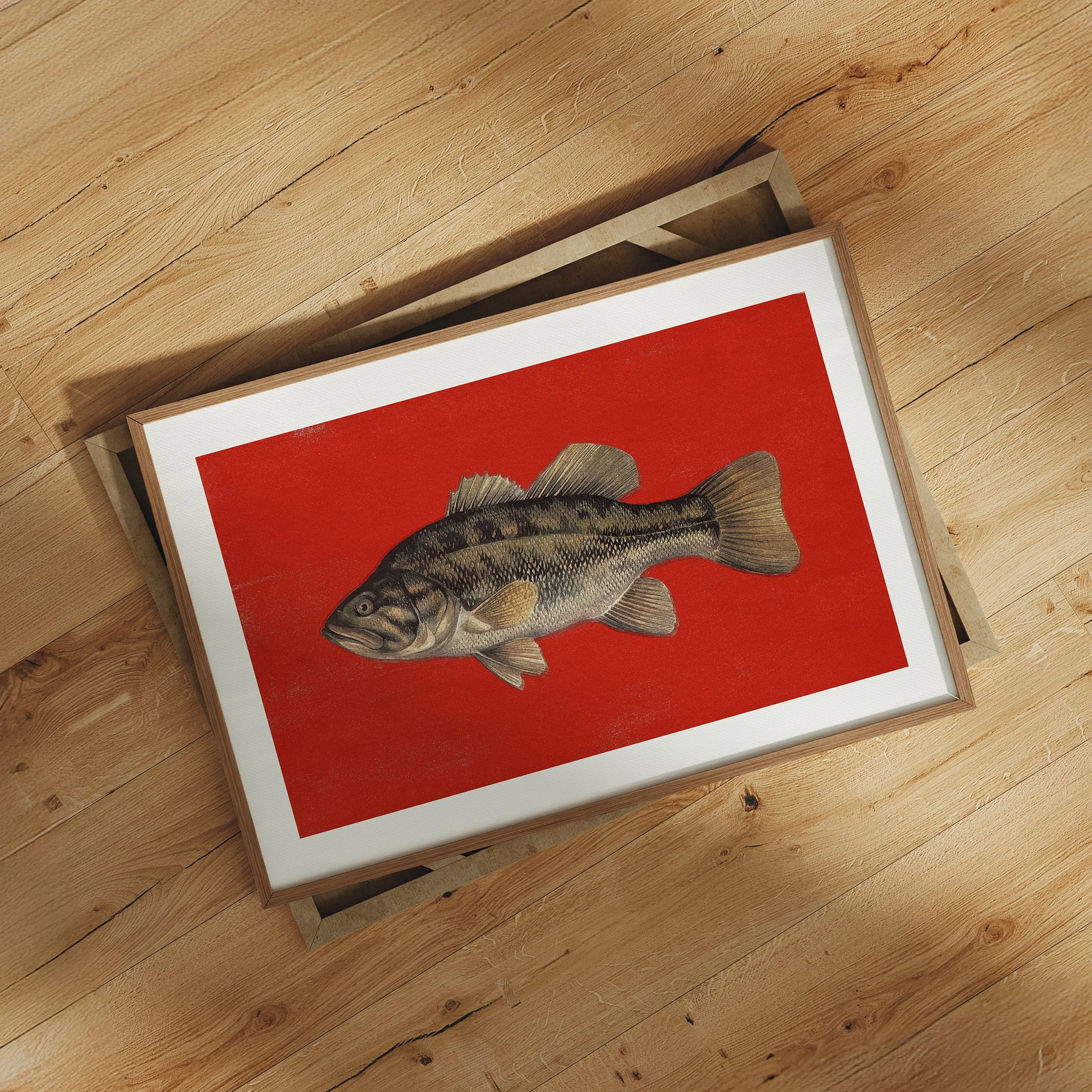 bass-fish-poster.jpg