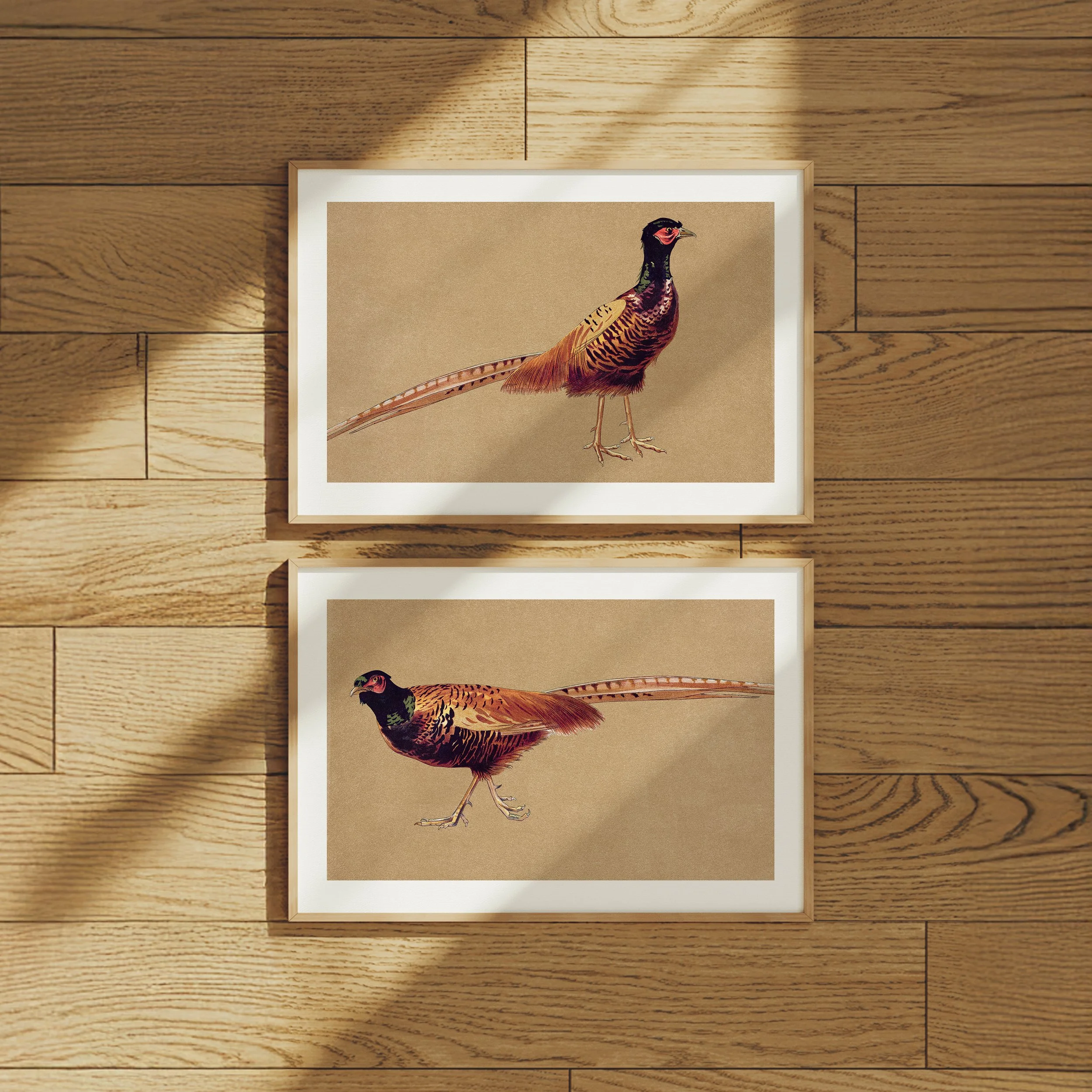 pheasant_setof2.jpg