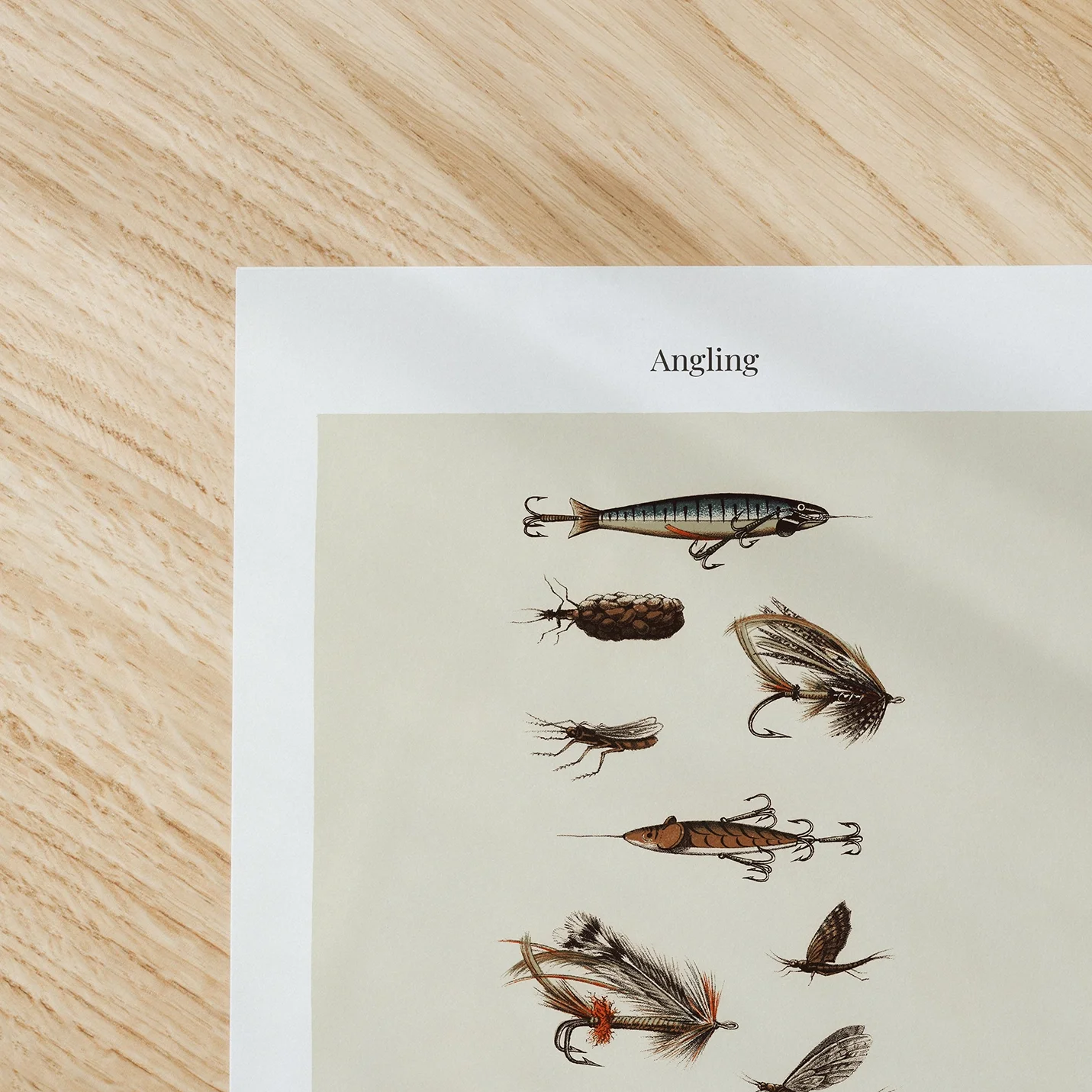 salmon-trout-flies-print.webp