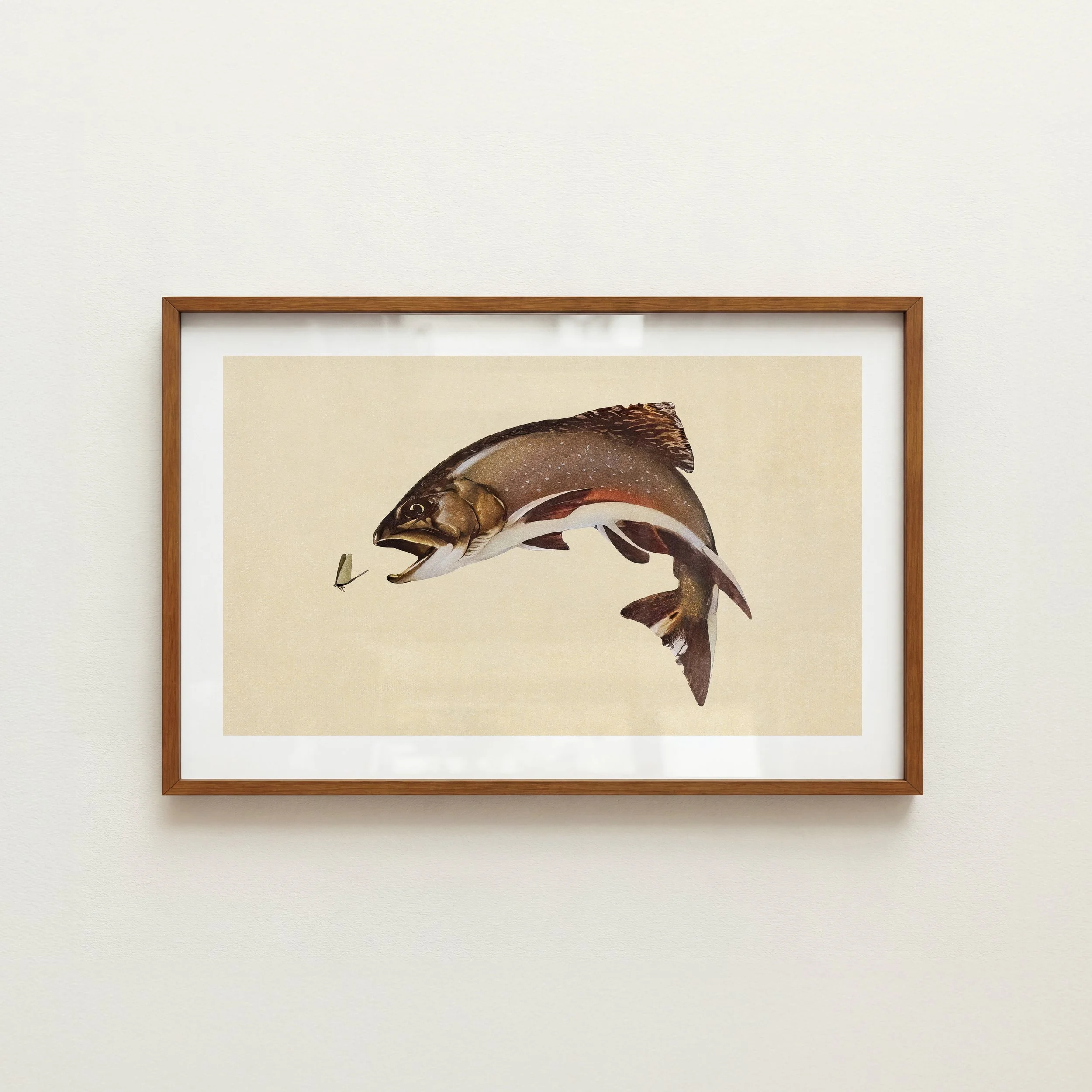 Old Brooke Trout Print - Retro Wildlife Poster