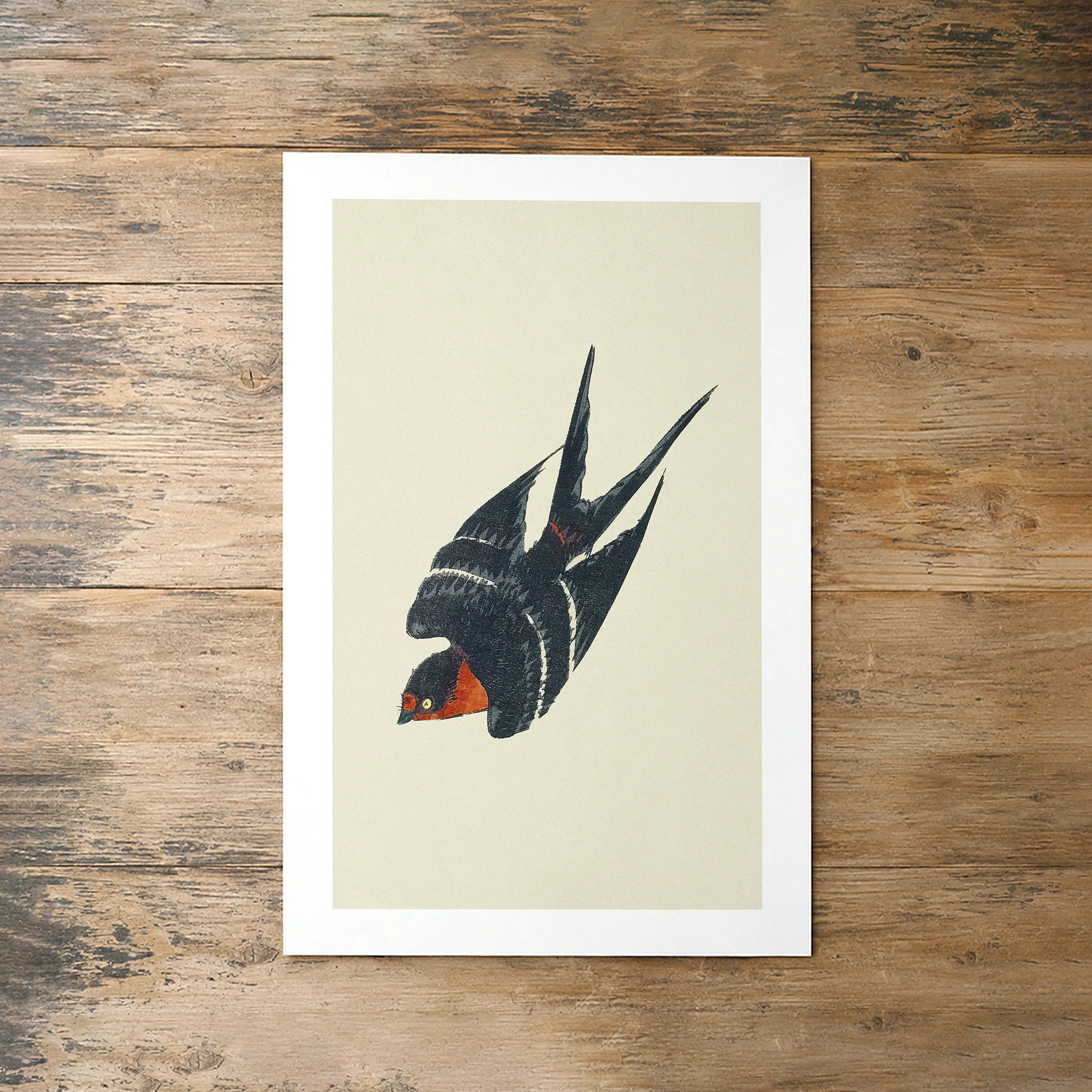 Homing Swallow Print - Rustic Wildlife Poster