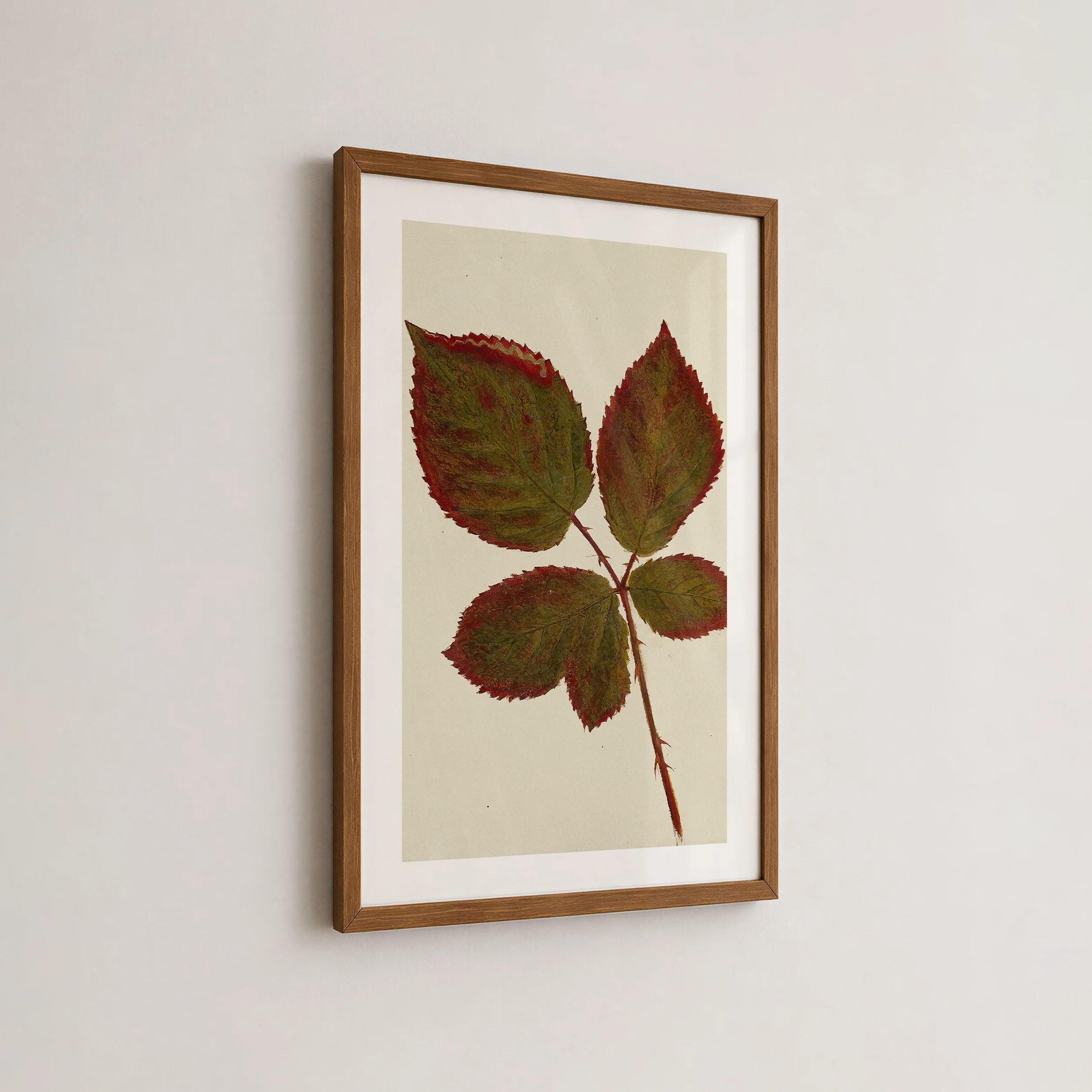 autumnfoliage-print.webp
