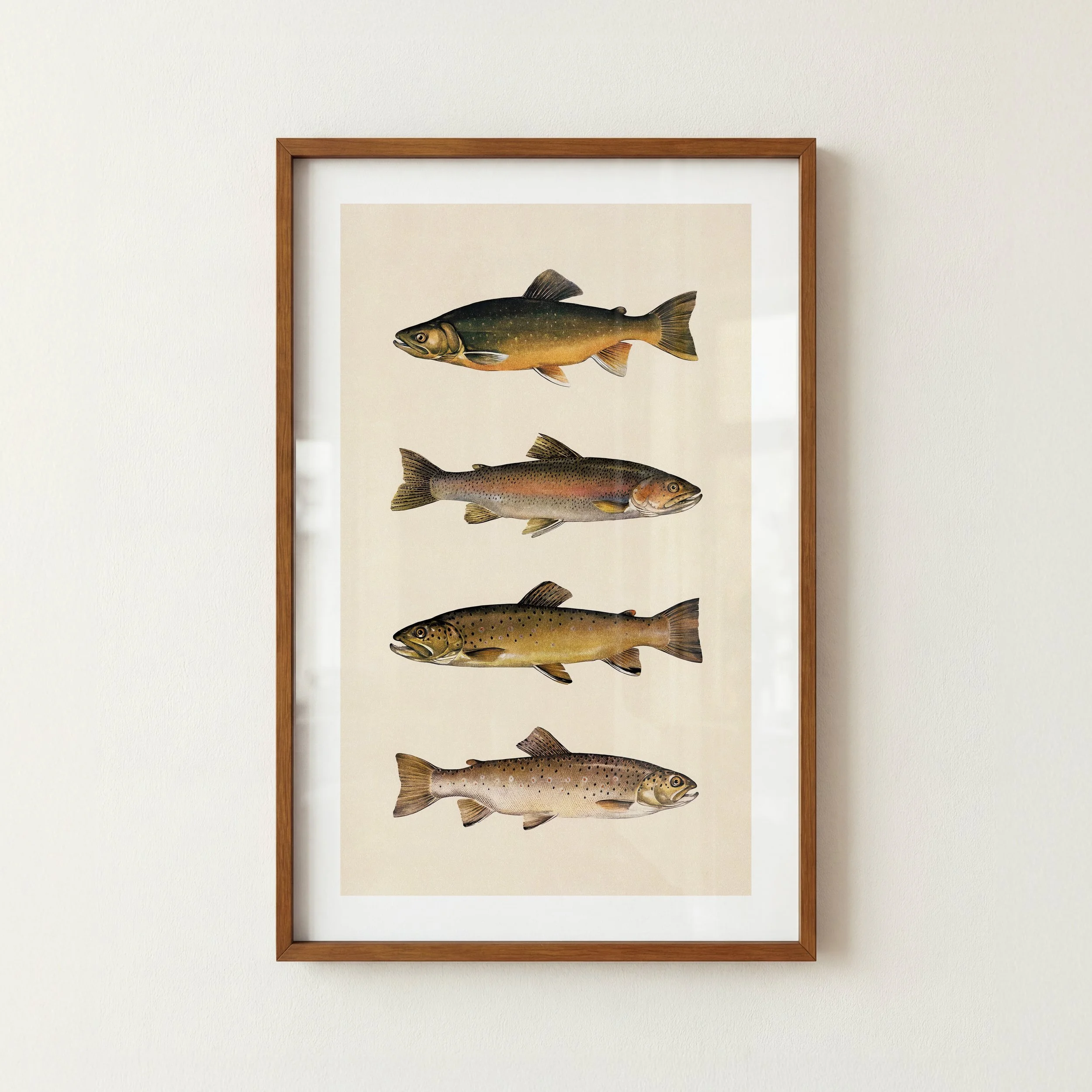 River Trout Fish Print - Retro Fishing Poster