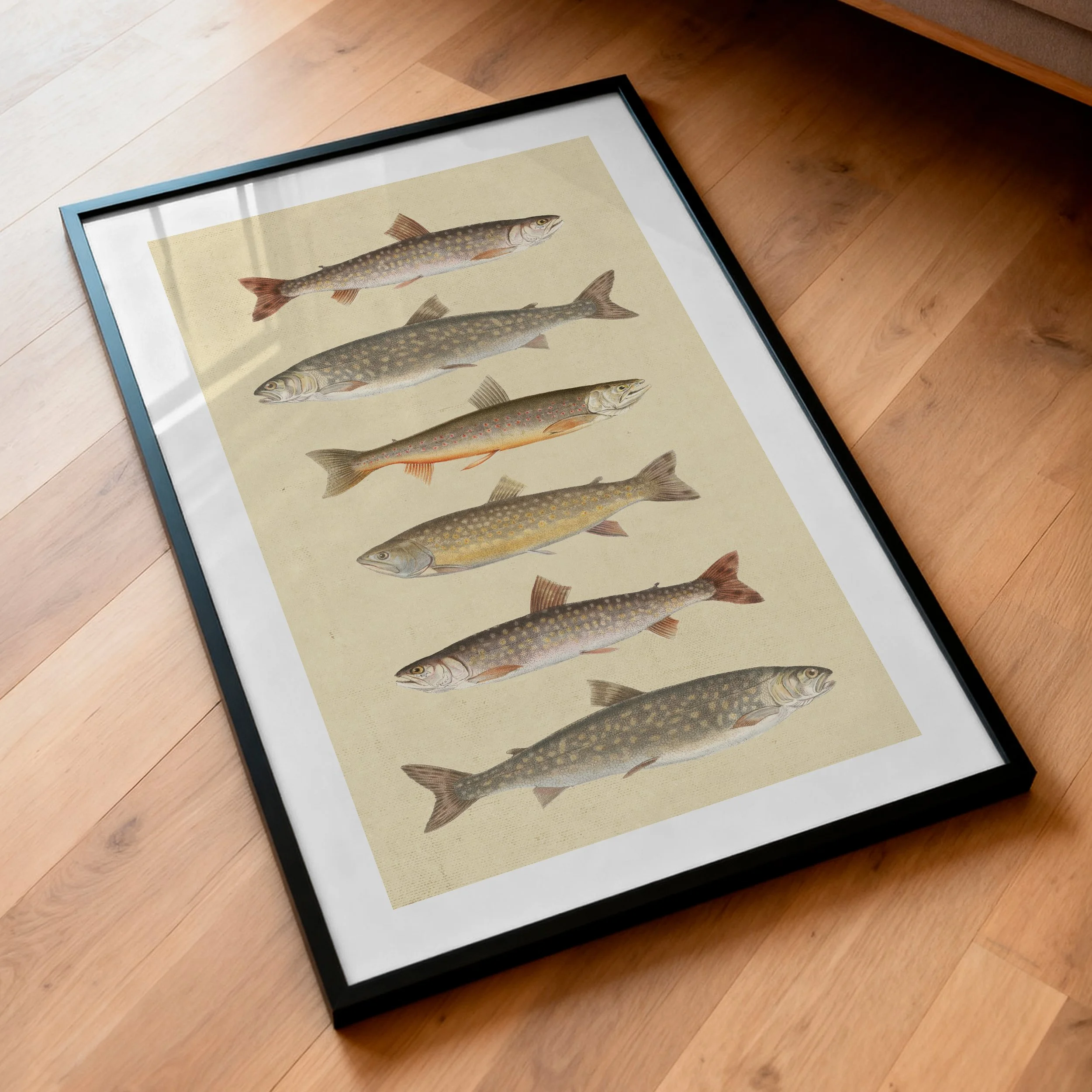 vintage-fishing-print.jpg
