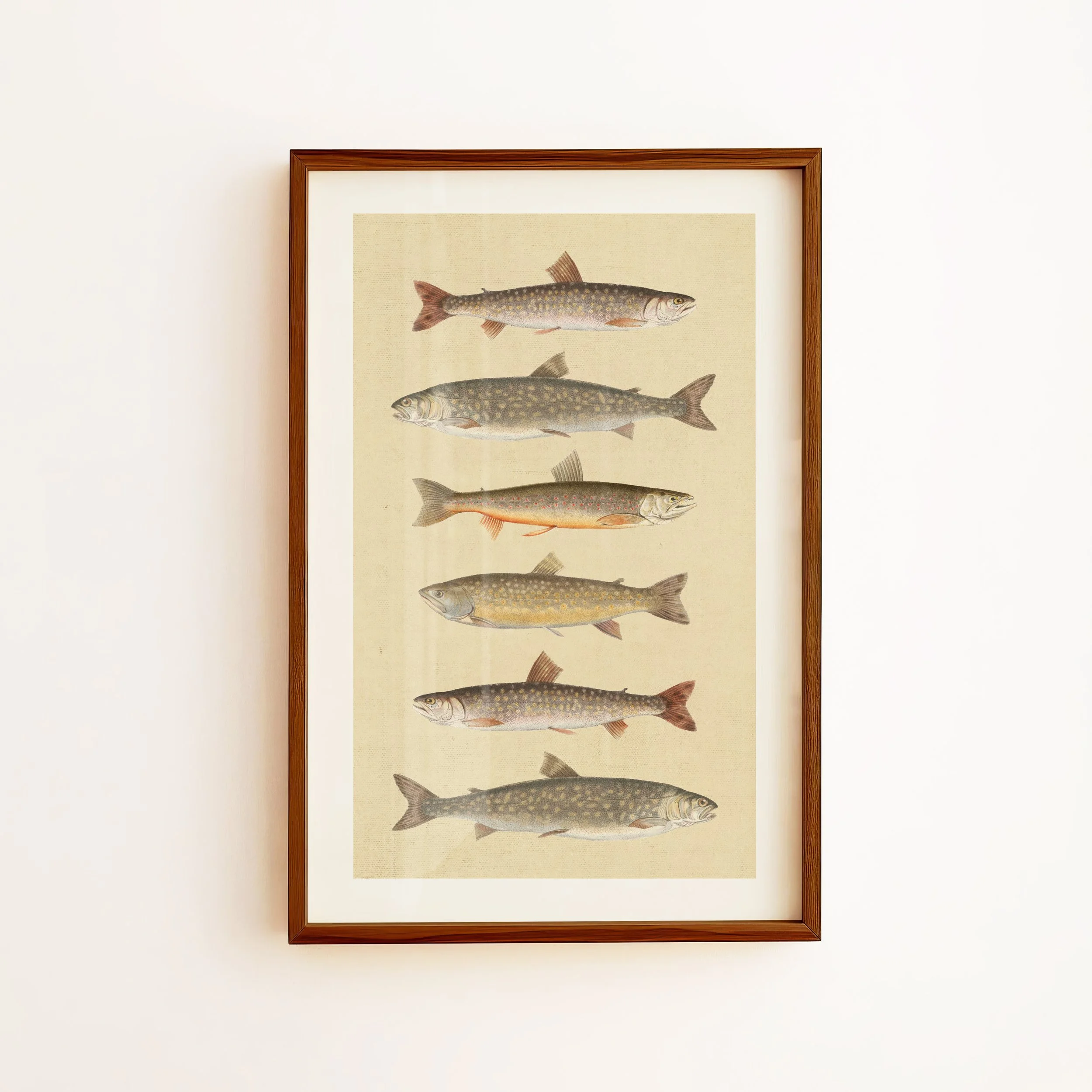 Vintage Fishes Print - Retro Lake House Poster