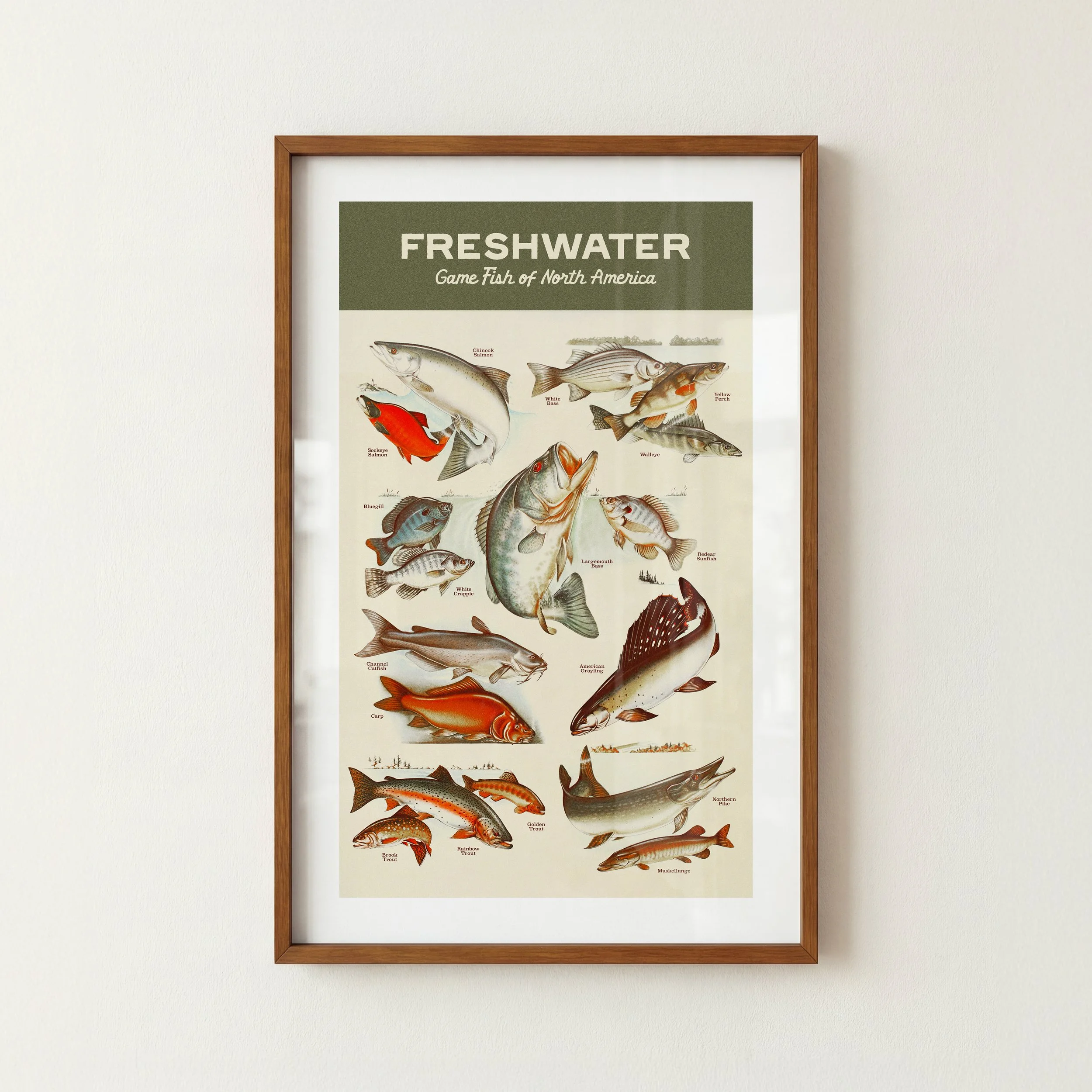 Freshwater Fish Print - Retro Lake House Poster