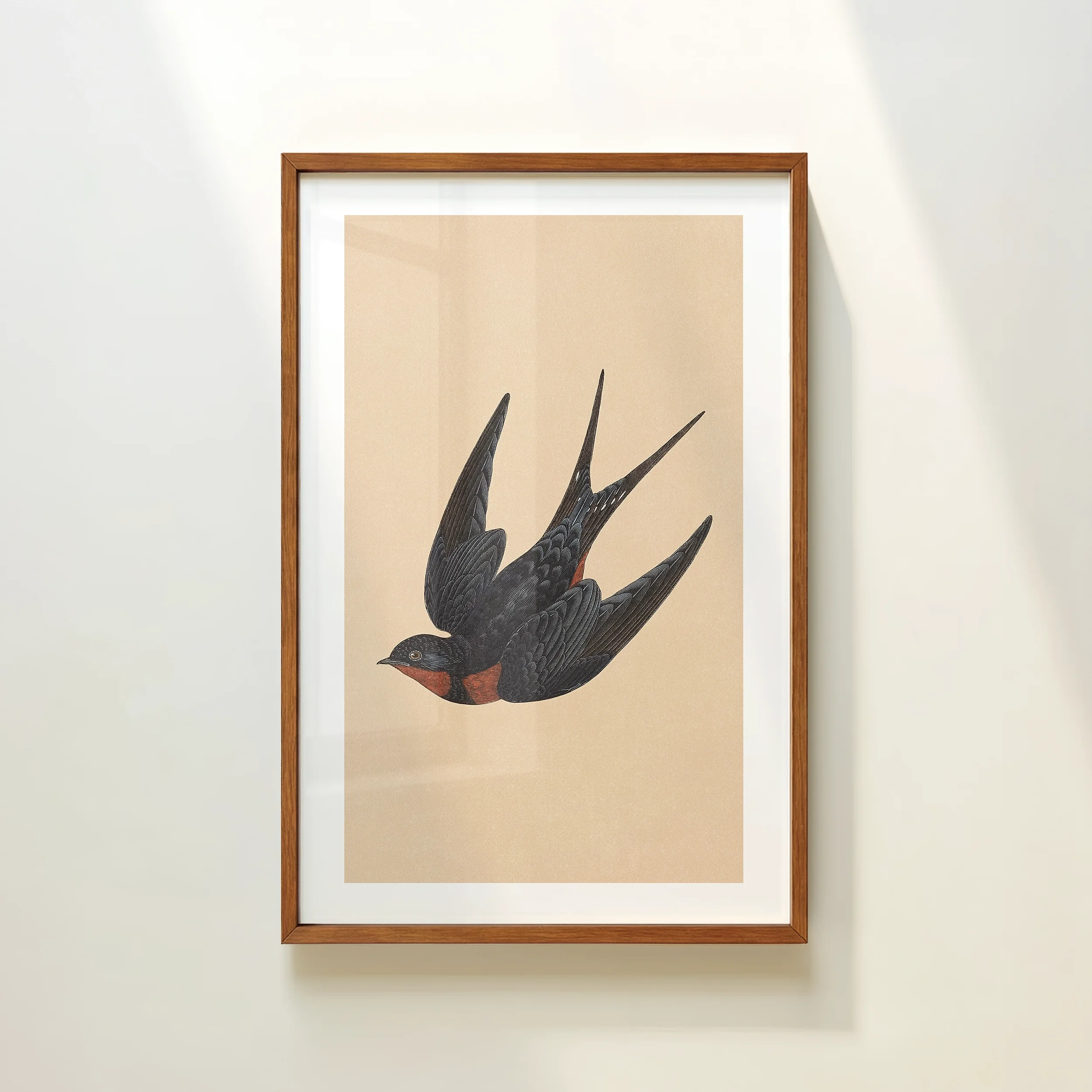 Retro Swallow Bird Print - Rustic Lake House Poster