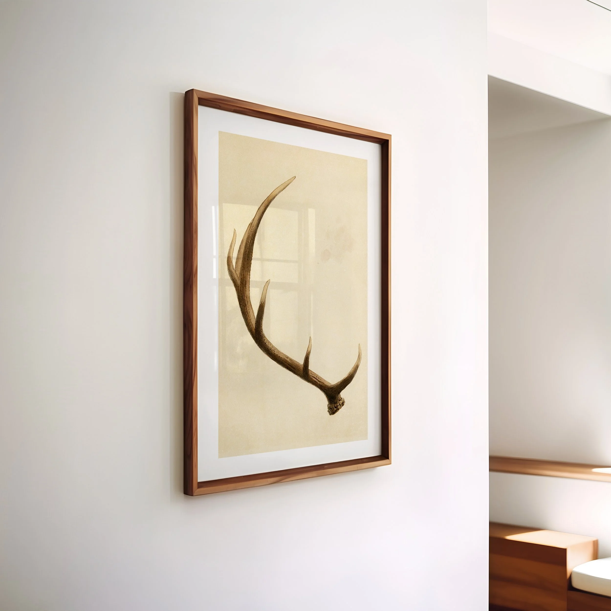 1x1-frame-side-angle-0105.jpg
