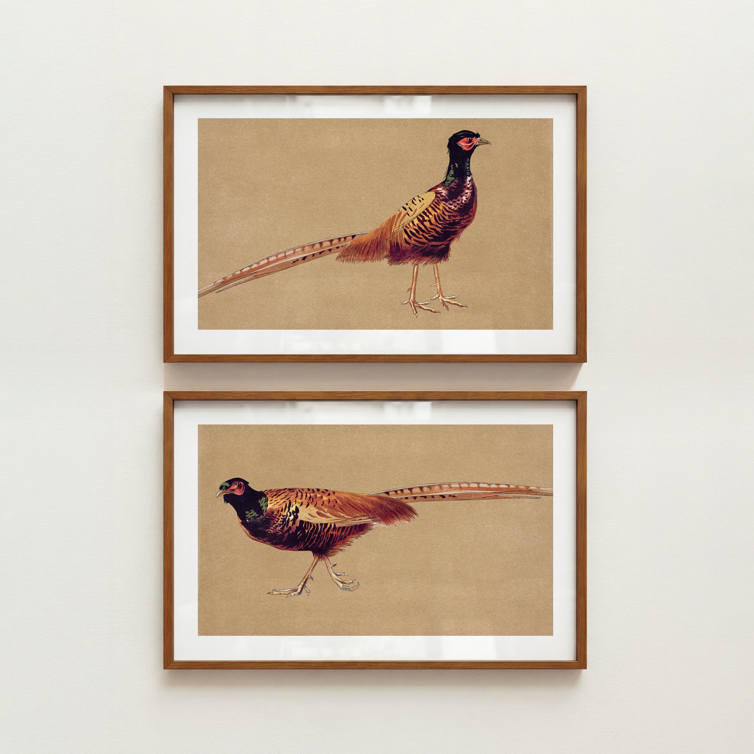 Pheasant Wildlife Prints - Rustic Lake House Posters, Set of 2
