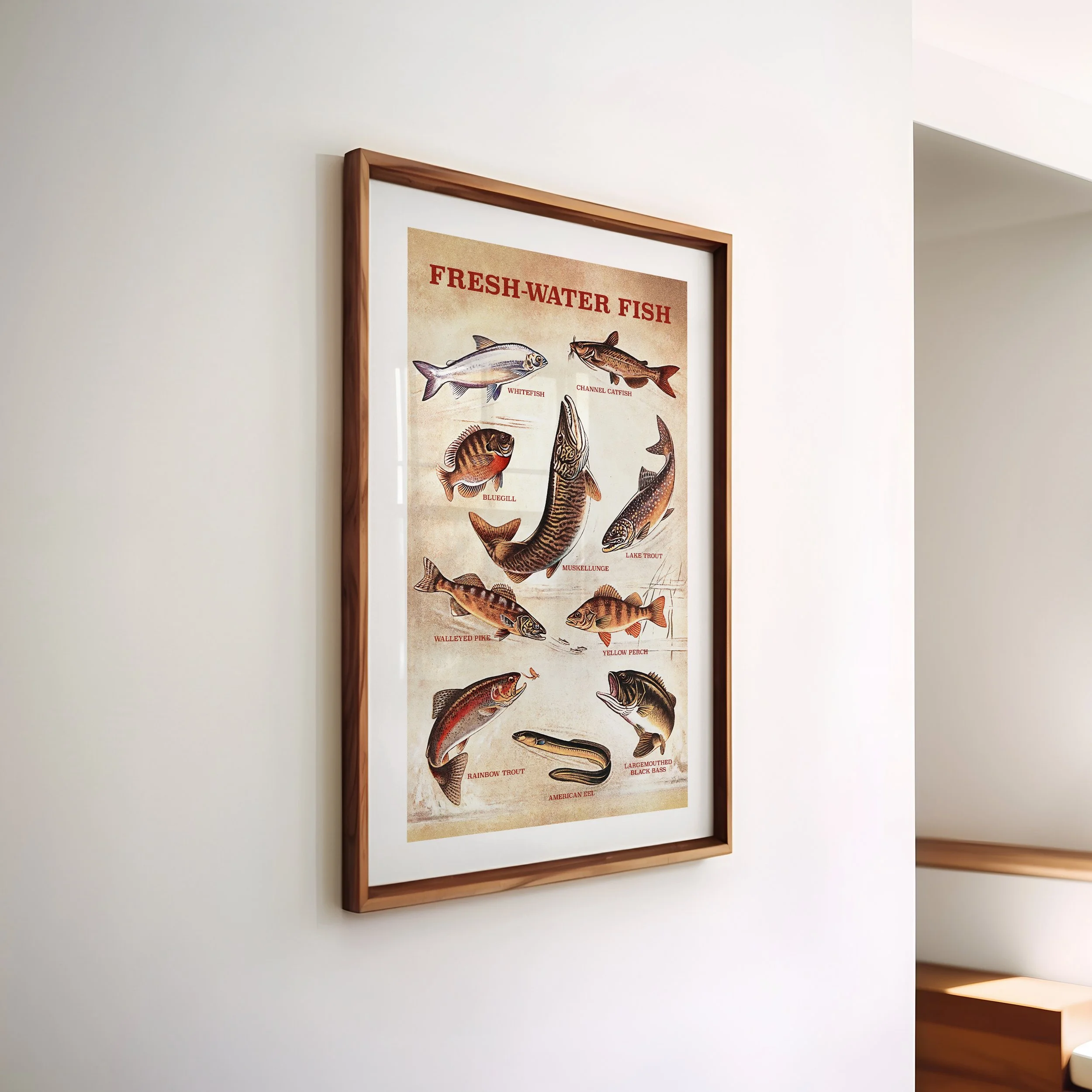 fish-types-poster.jpg