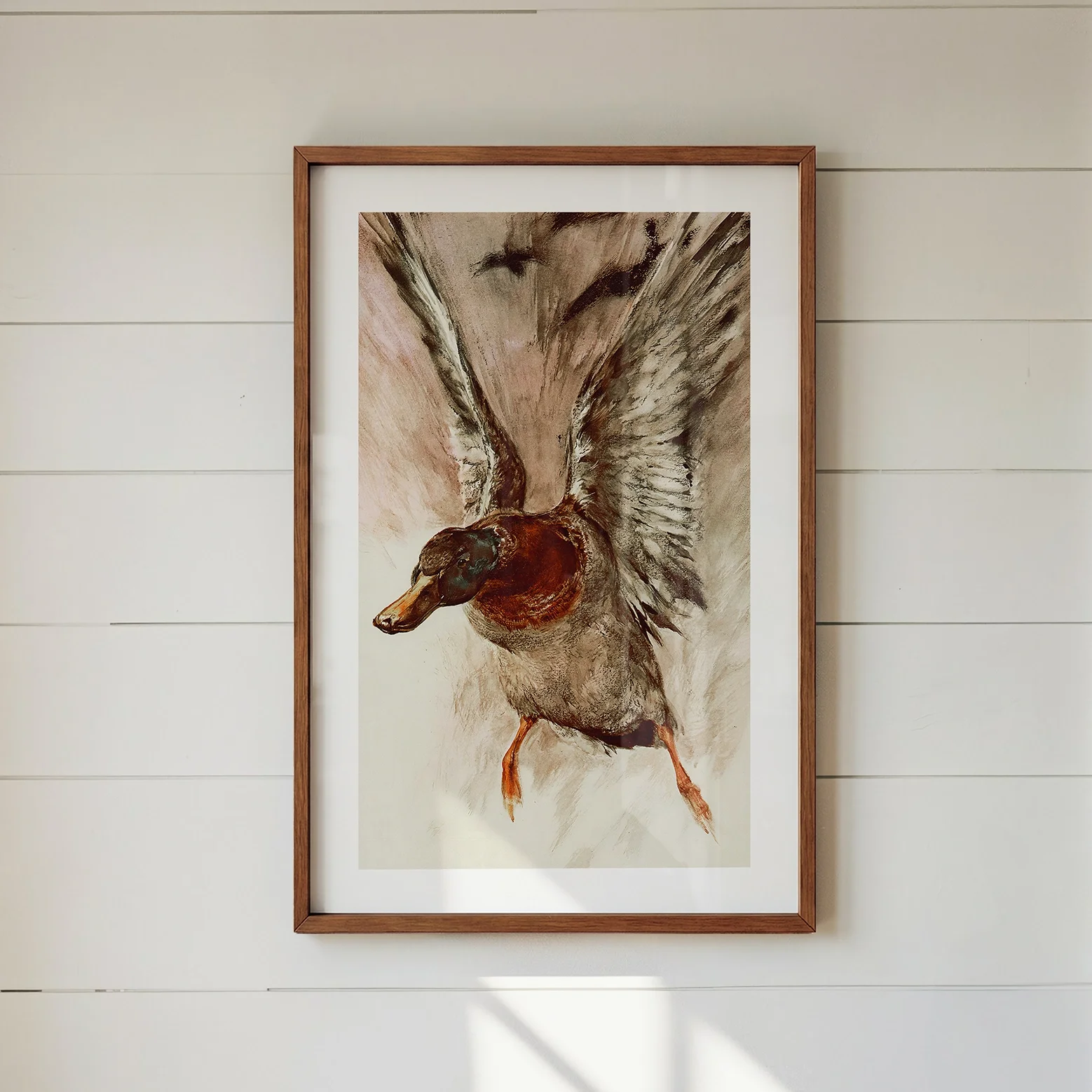in-flight-mallard-print.webp