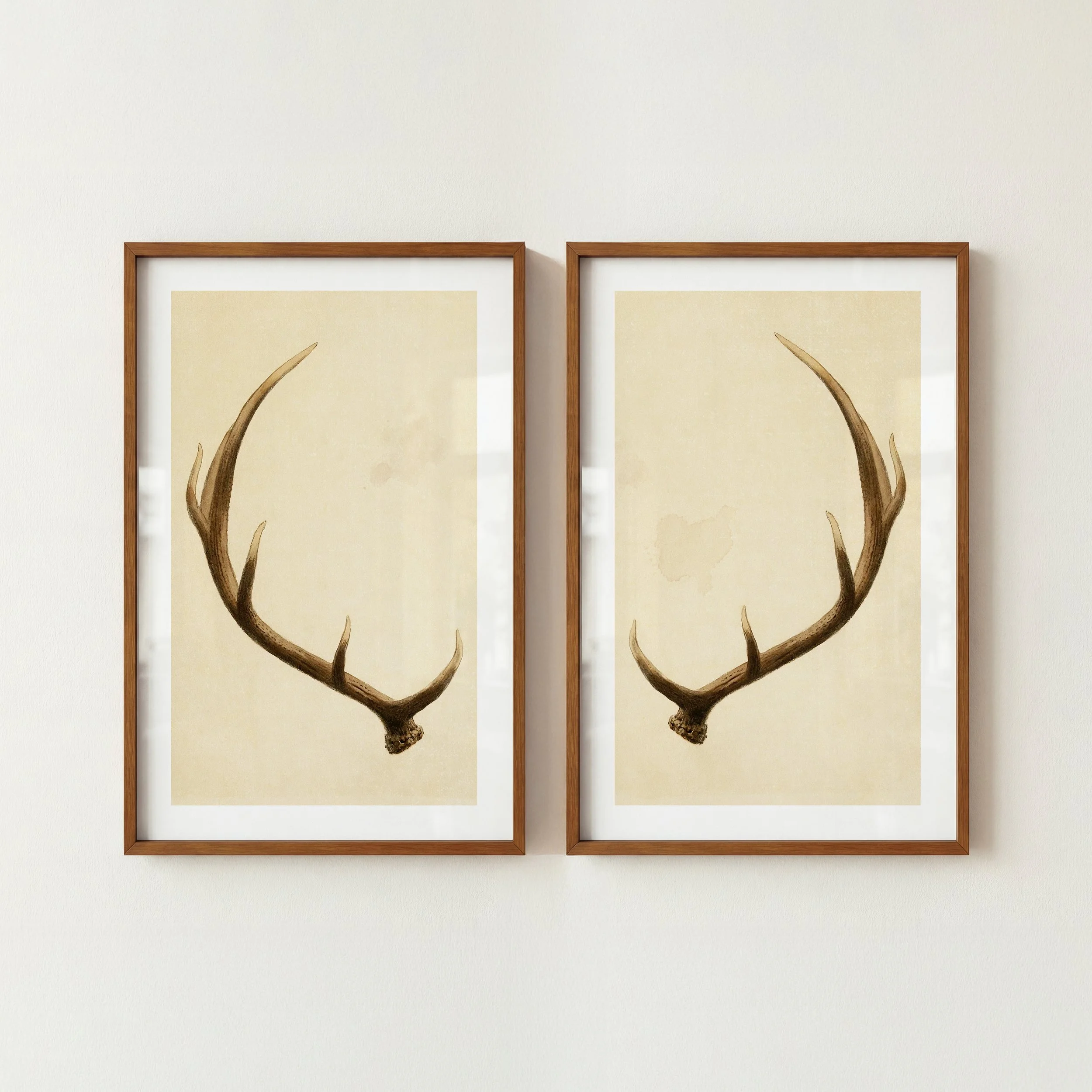 Rustic Deer Antler Prints — Retro Outdoors Art, Set of 2