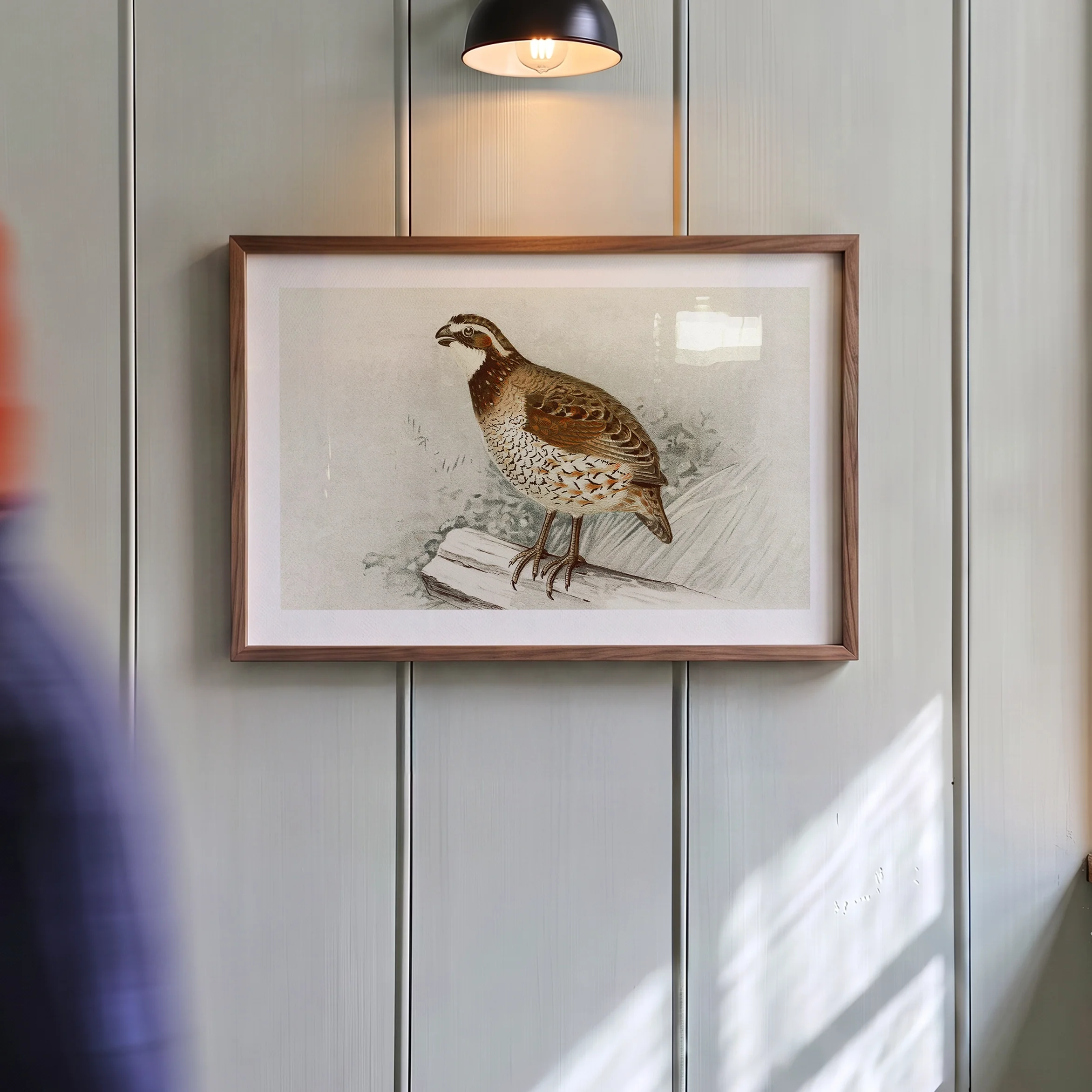 Retro Quail Print - Rustic Lake House Poster