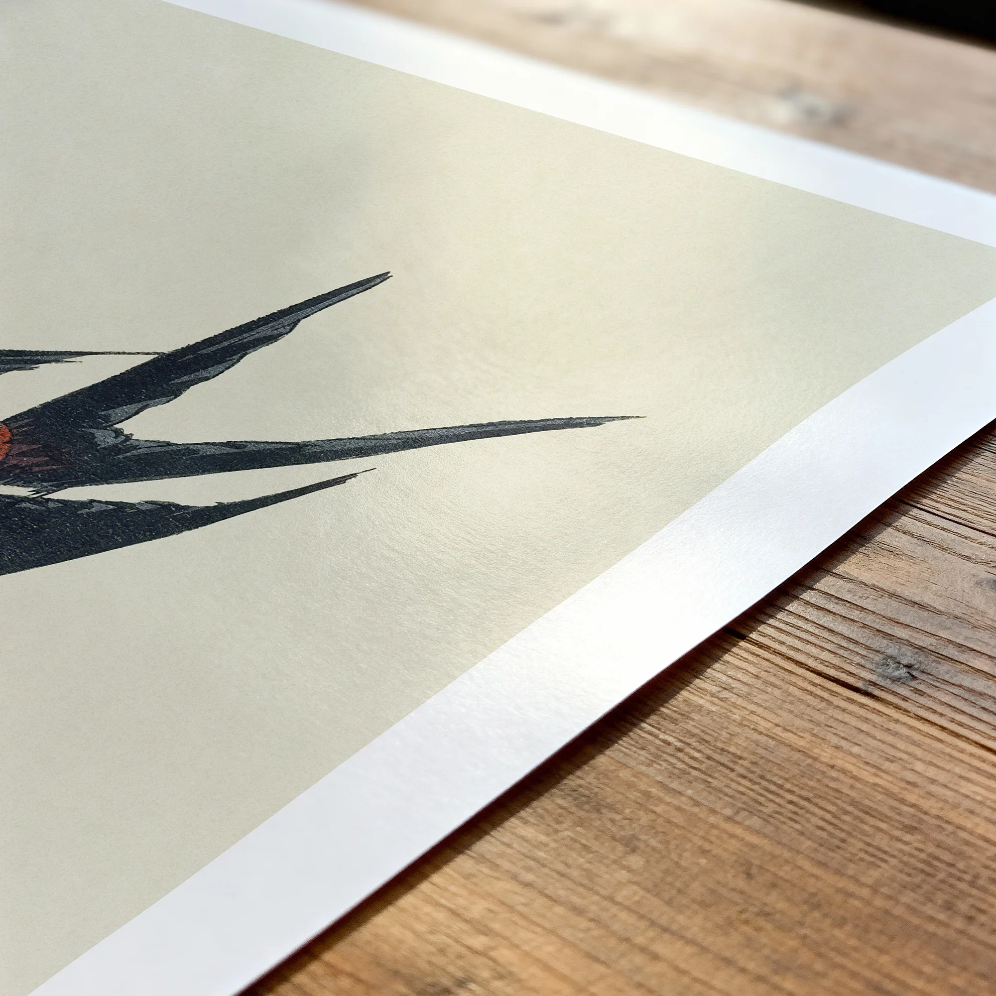 homingswallowbird-print.webp