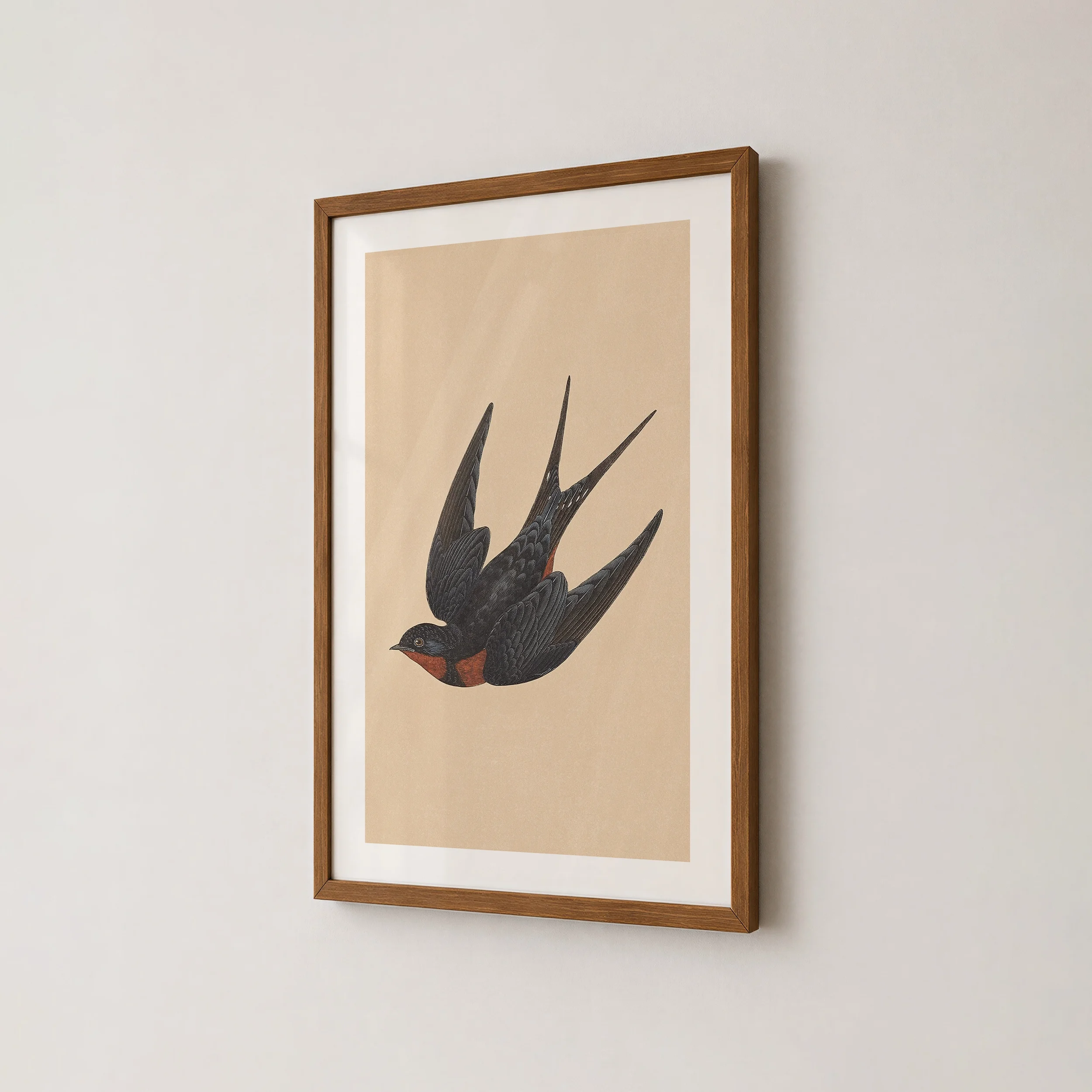 retro-swallow-print.webp