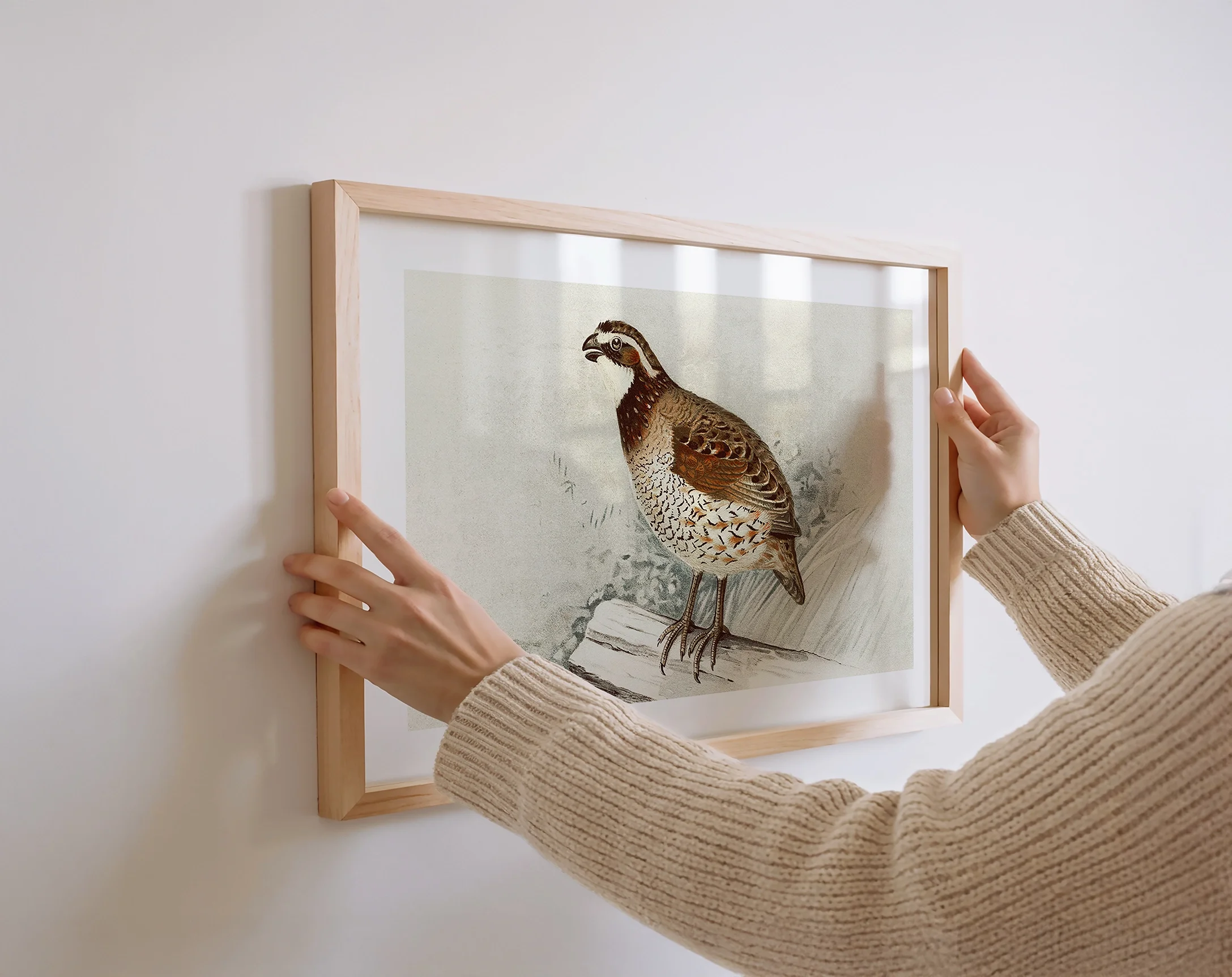 retroquailprint.webp