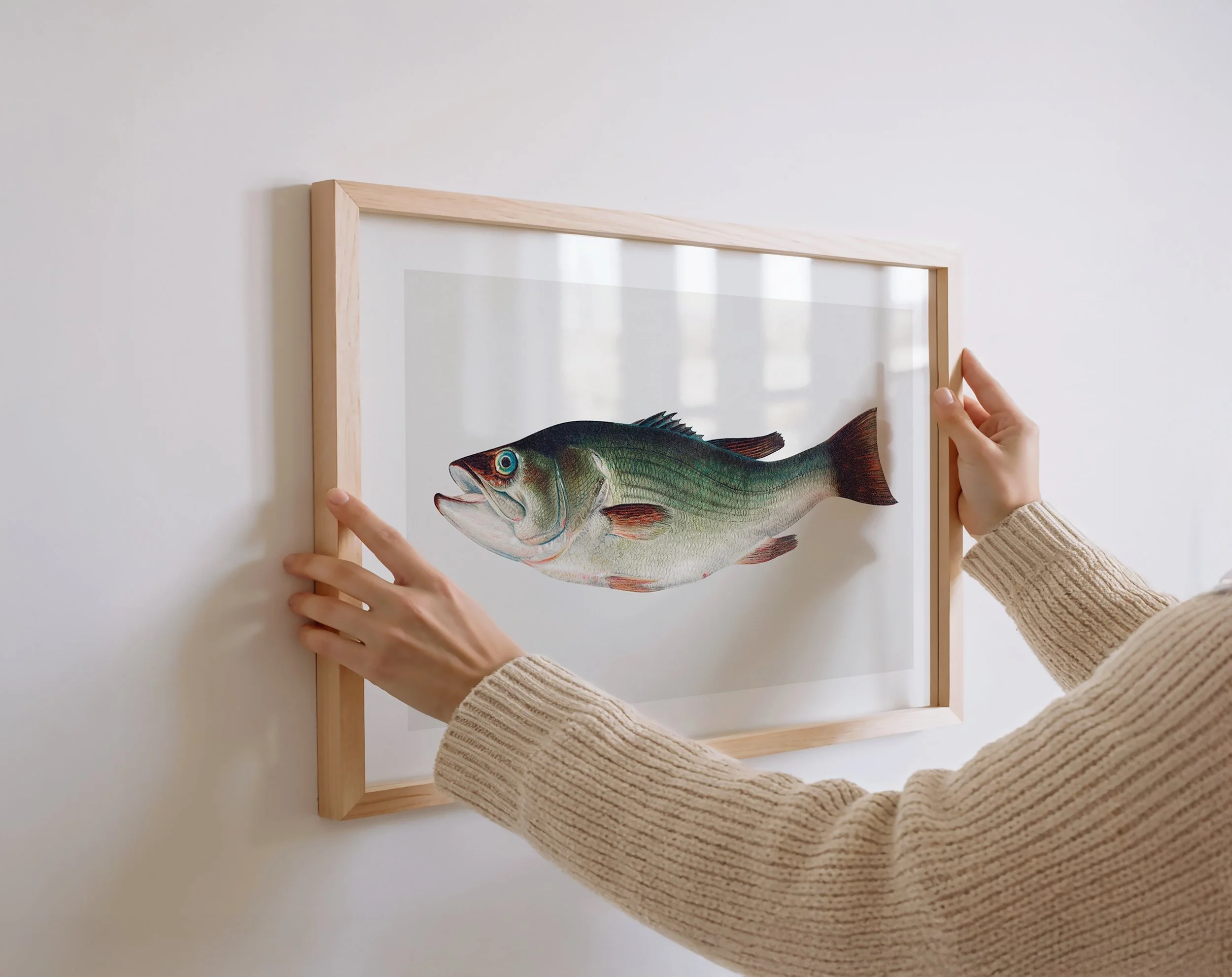 bass-fish-print.jpg