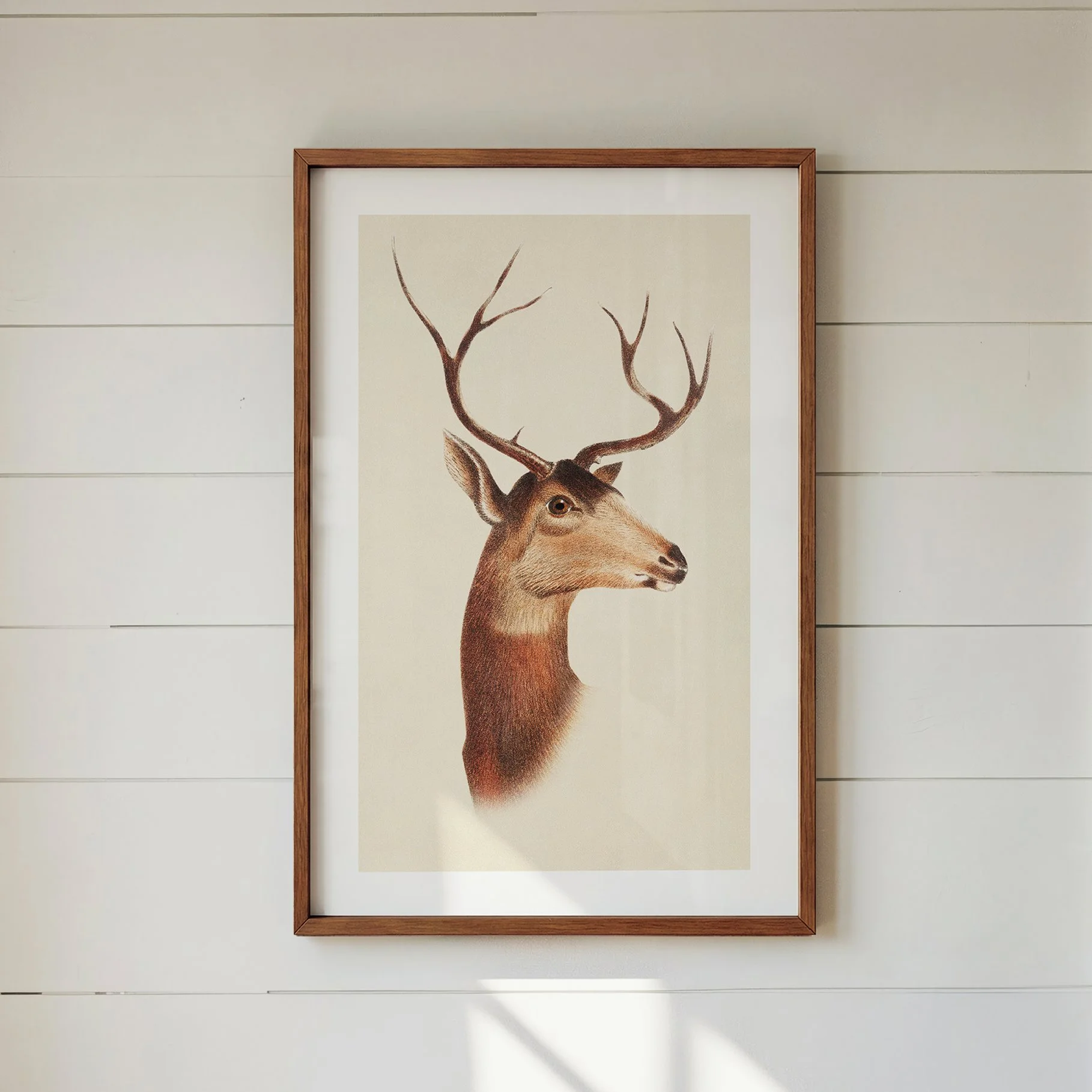 Majestic Deer Print - Rustic Wildlife Poster