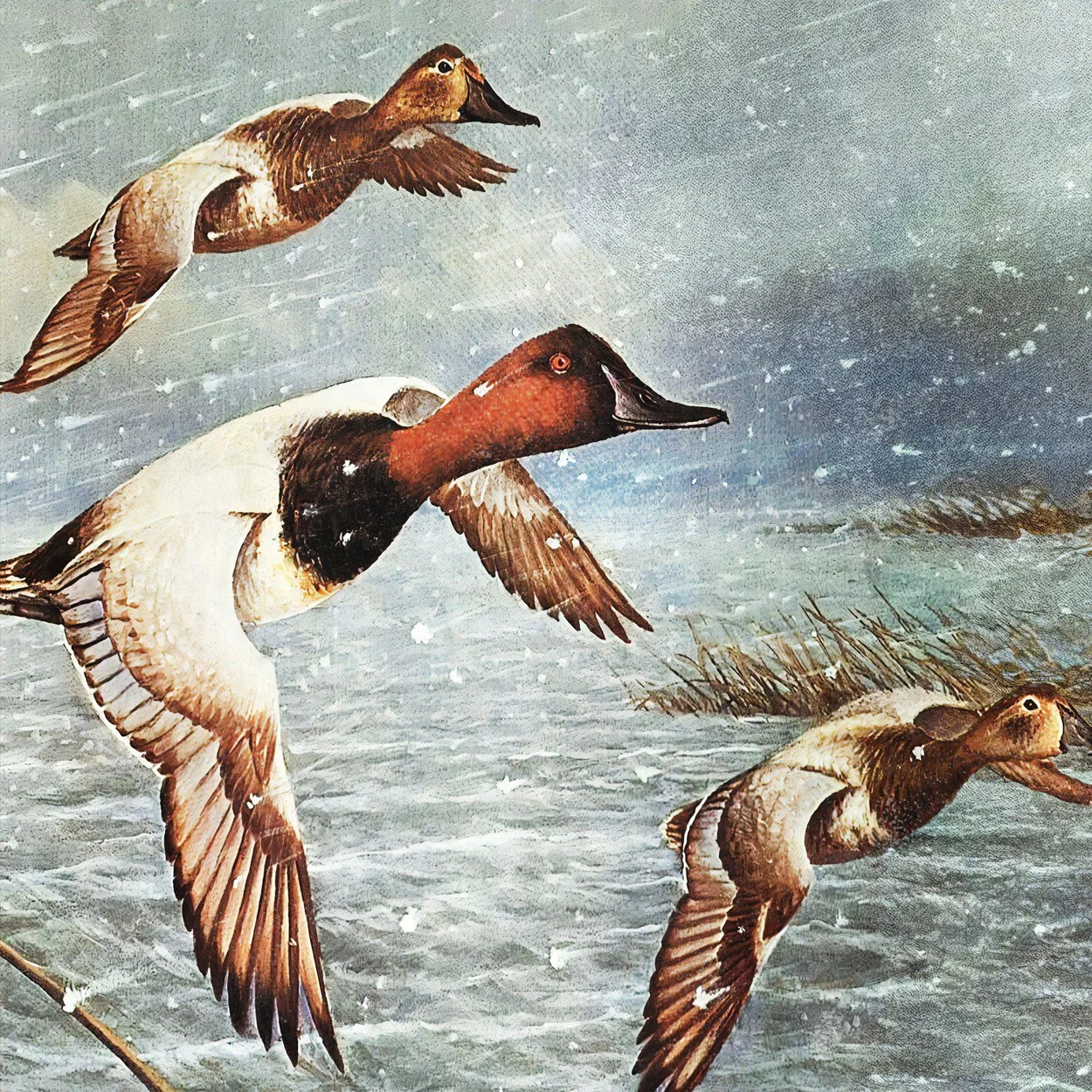Three ducks flying over water during a storm with trees in the background.