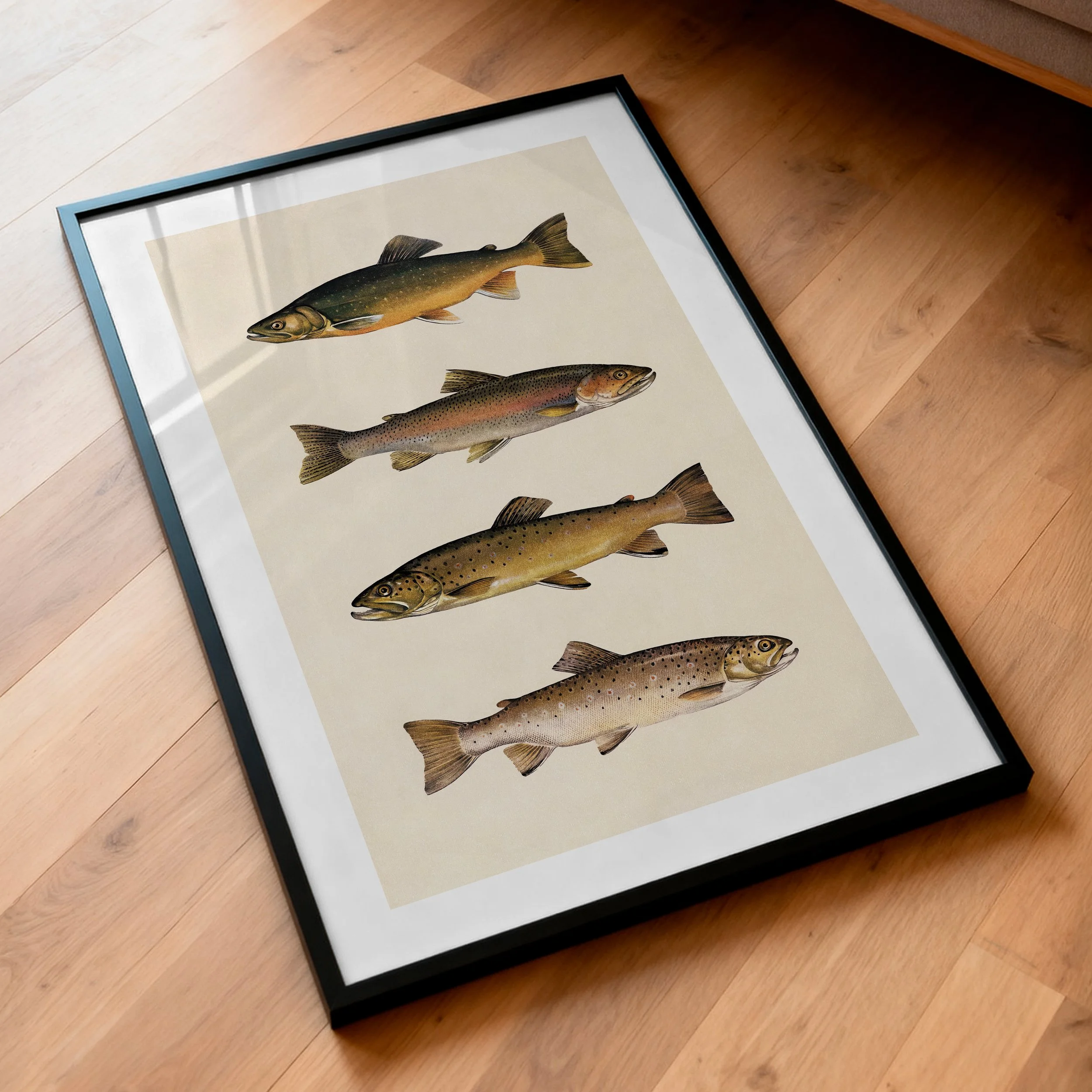 vintage-trout-fish-poster.jpg