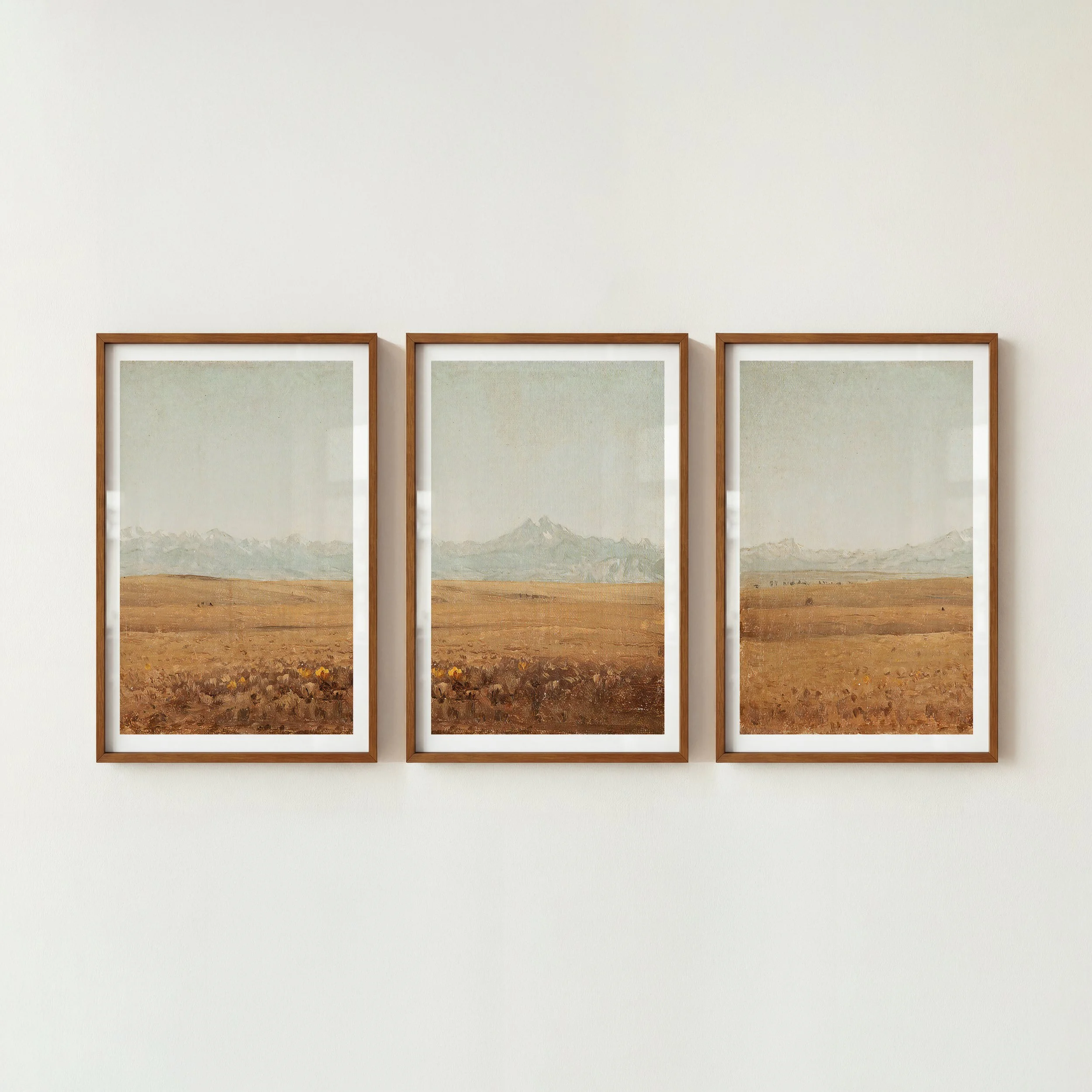 longspeak-colorado-prints.jpg