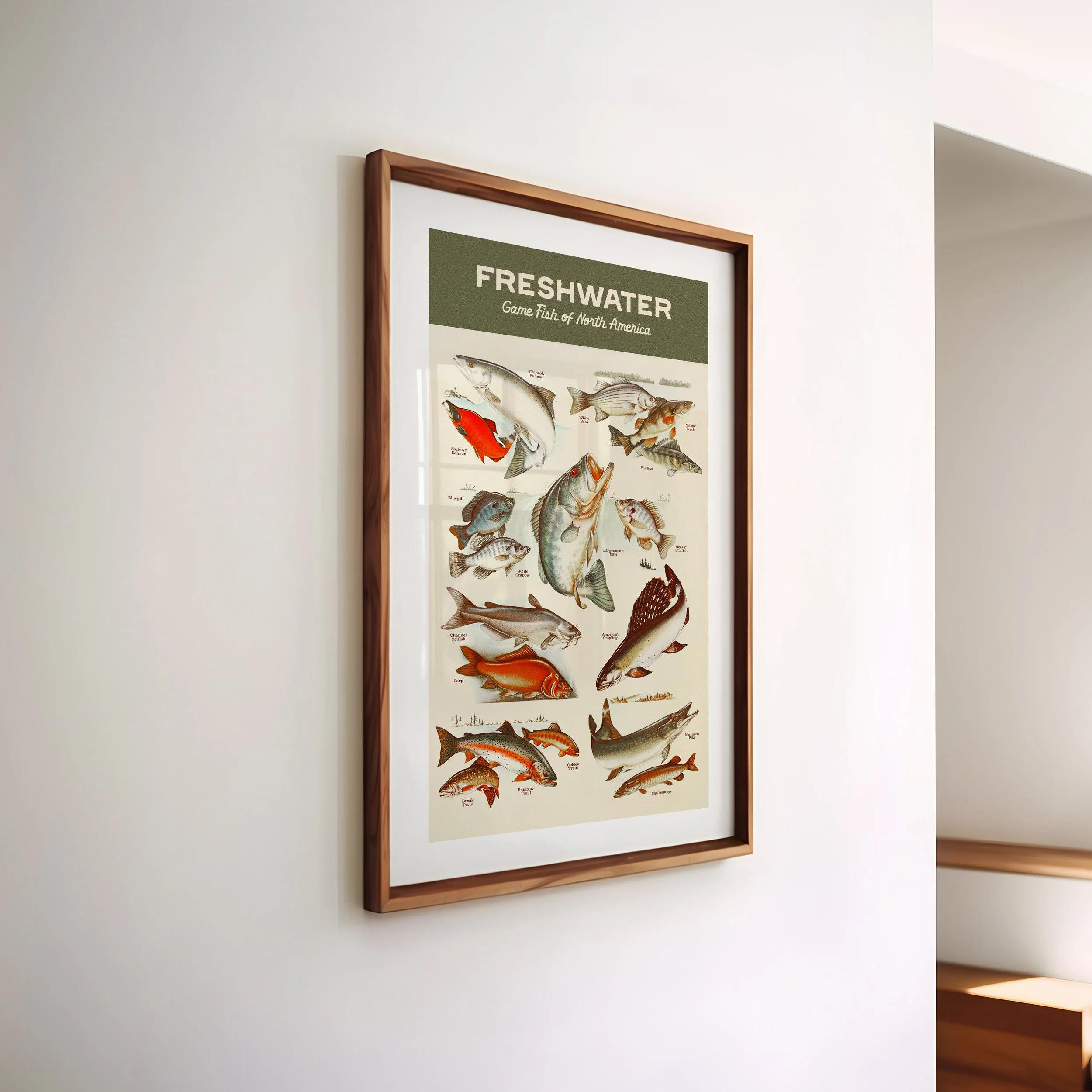 fish_types_print.jpg