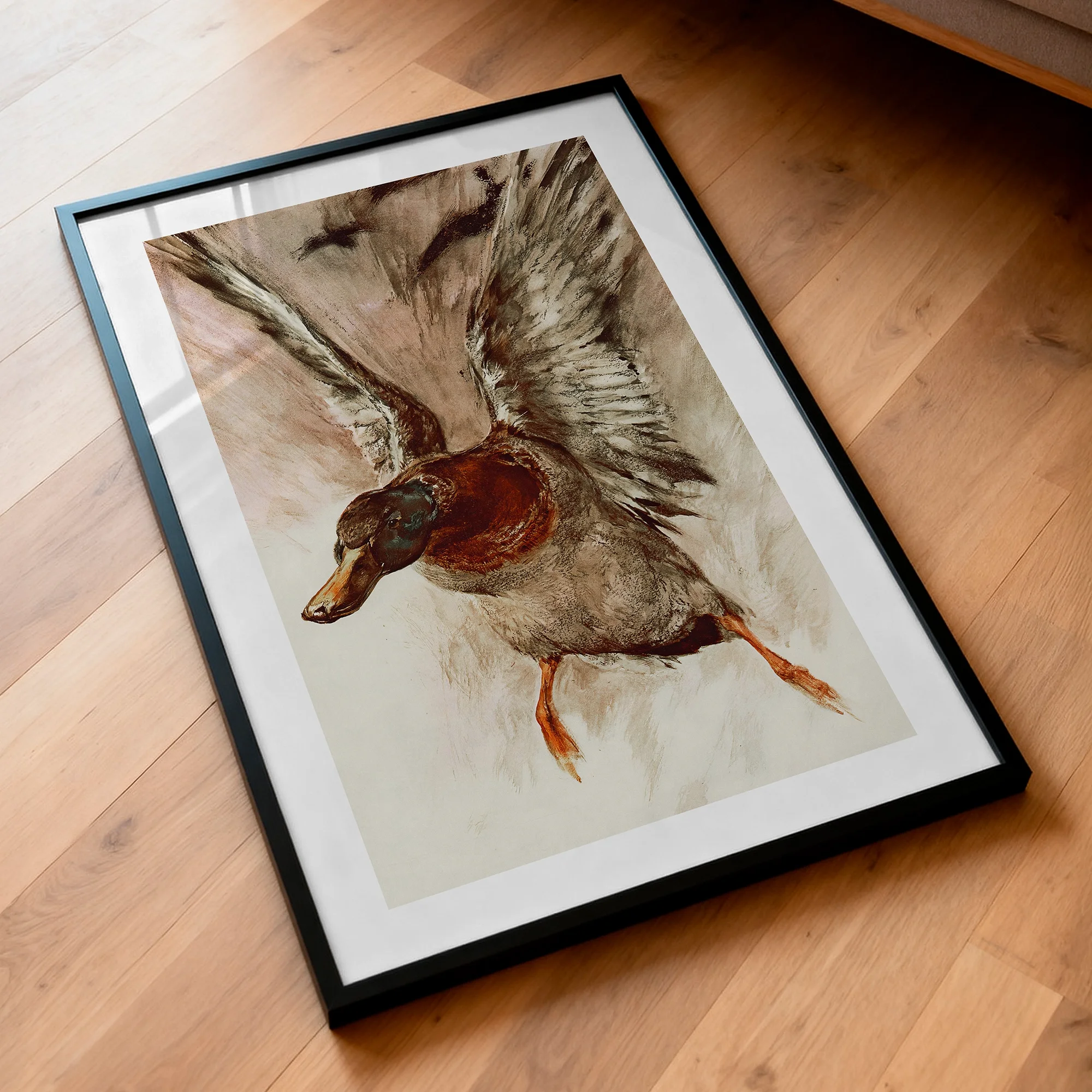 In Flight Mallard Print - Vintage Wildlife Poster