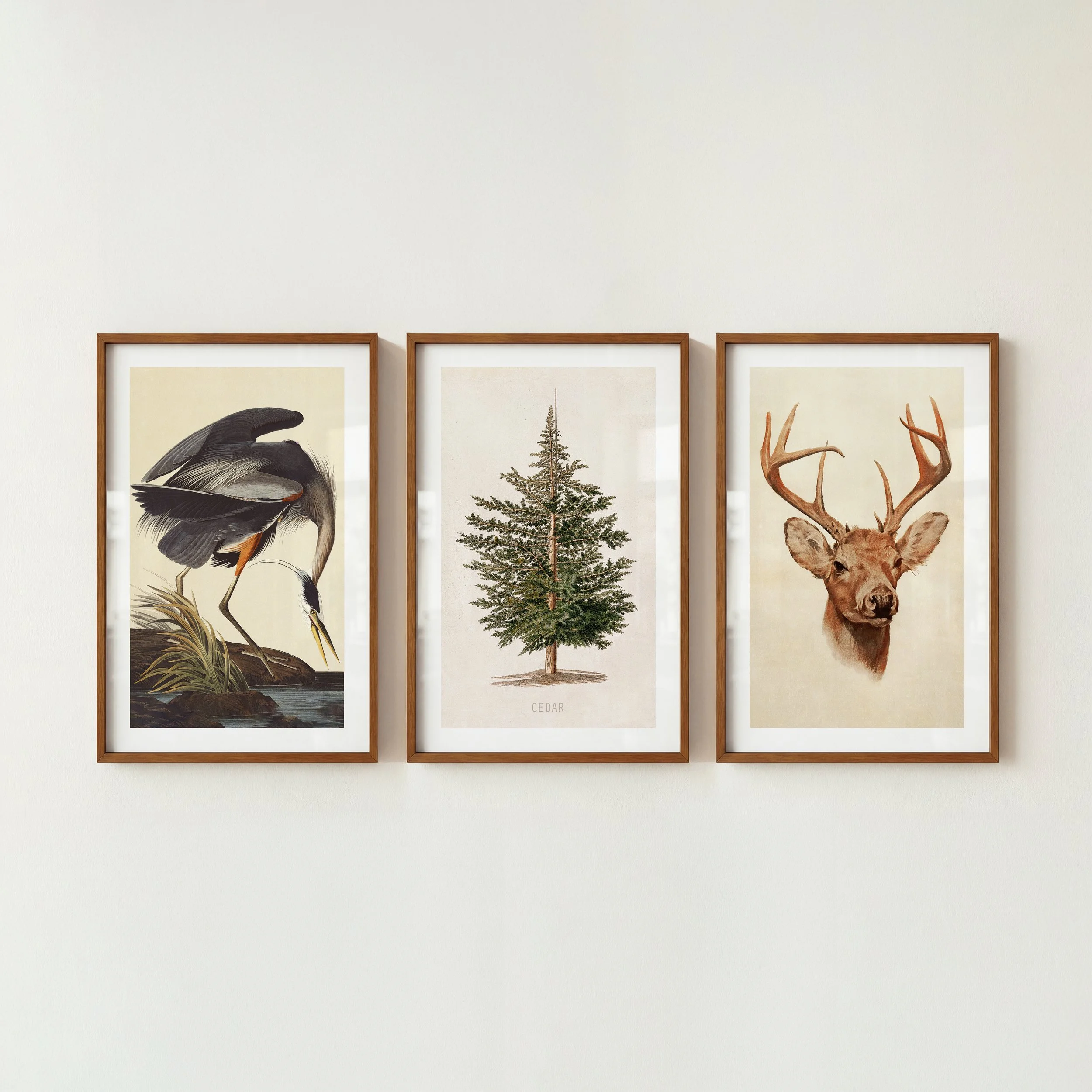 Cedar and Wildlife Prints - Retro Lake House Posters, Set of 3