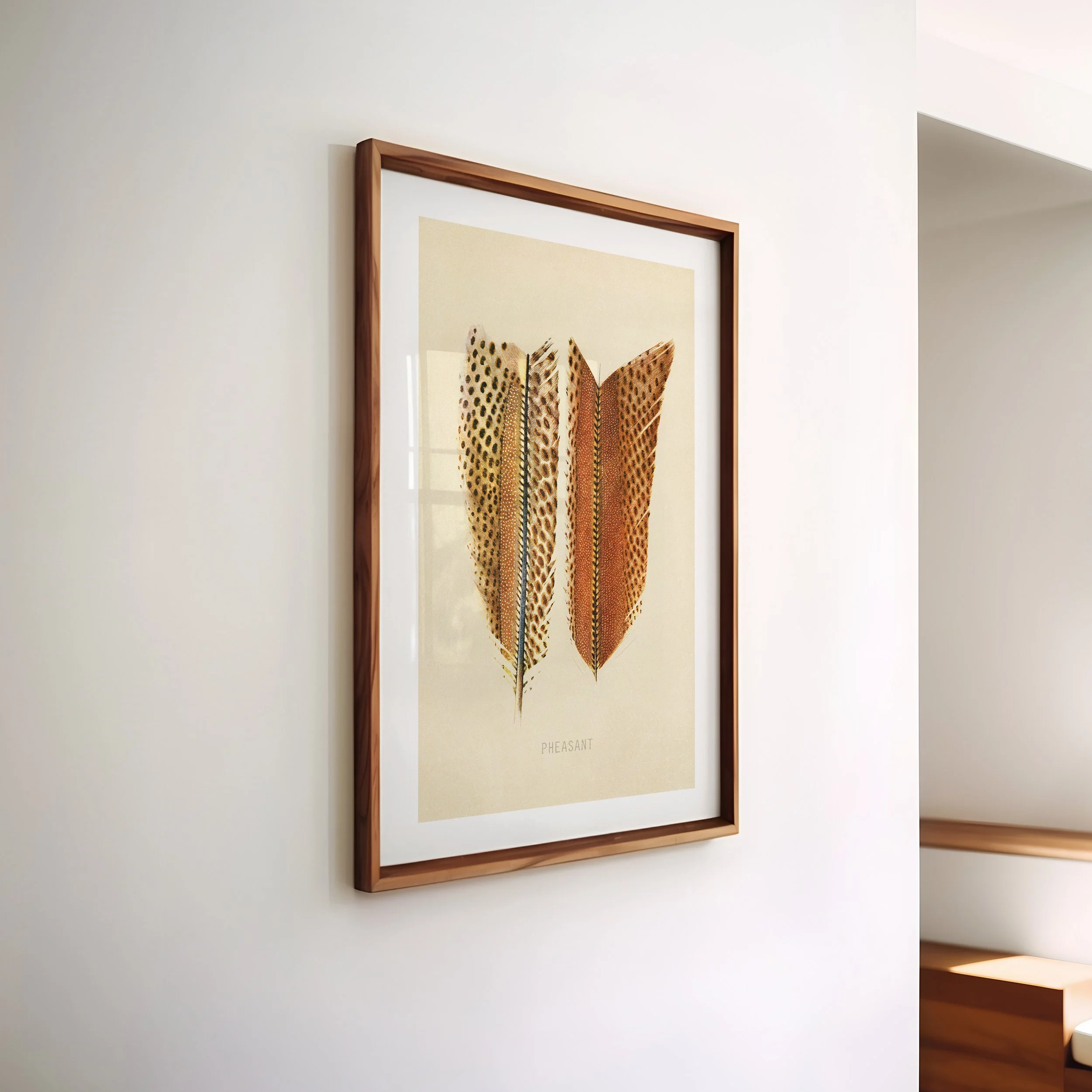 pheasant-feather-print.jpg