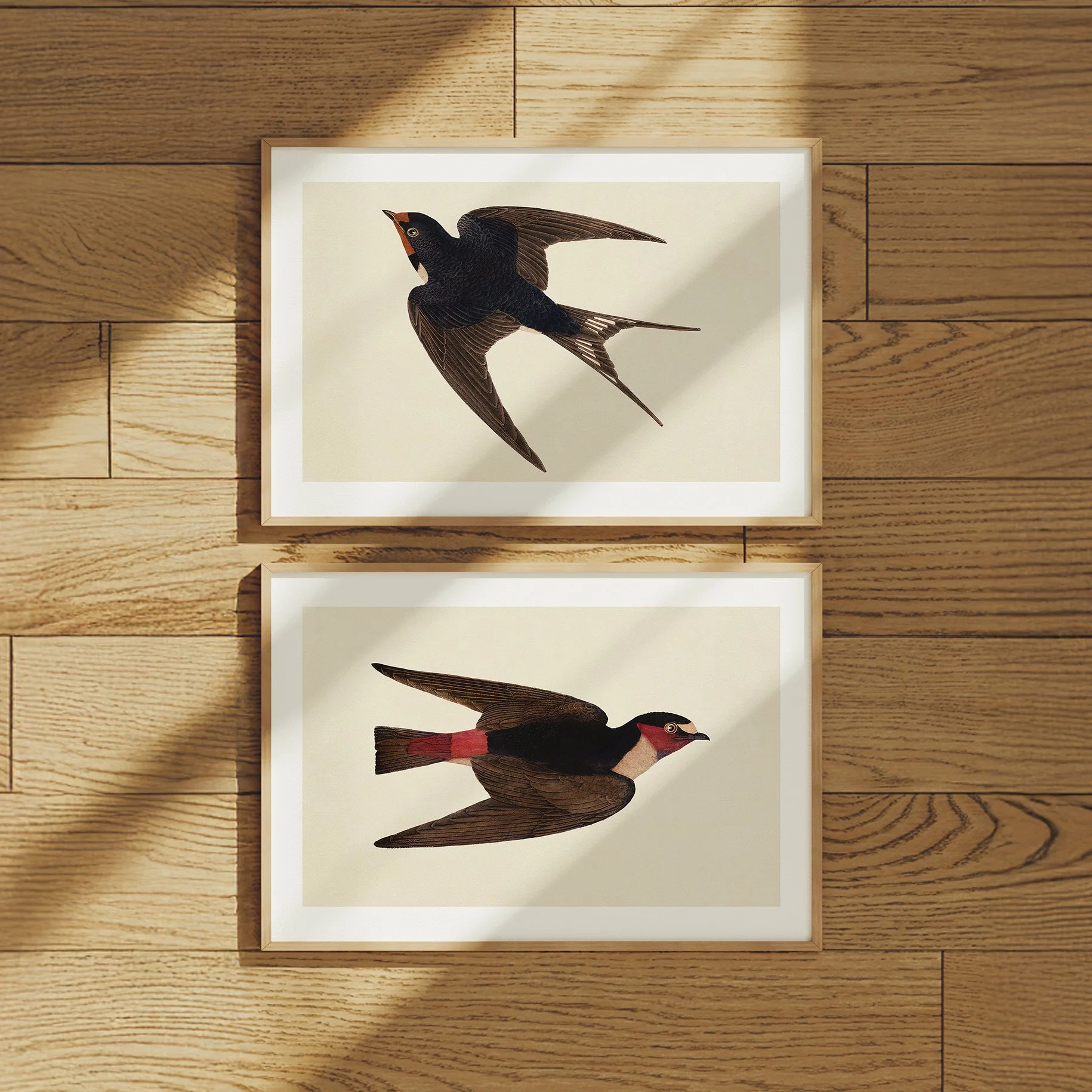 bird-set-of-2.jpg