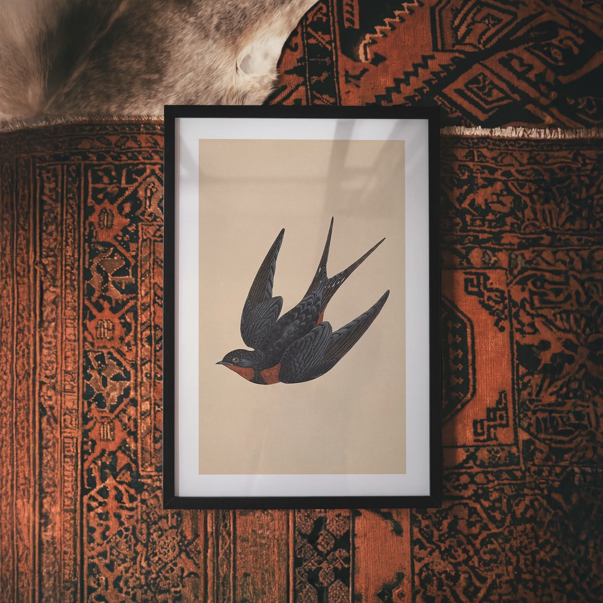 vintage-swallow-art-print.webp