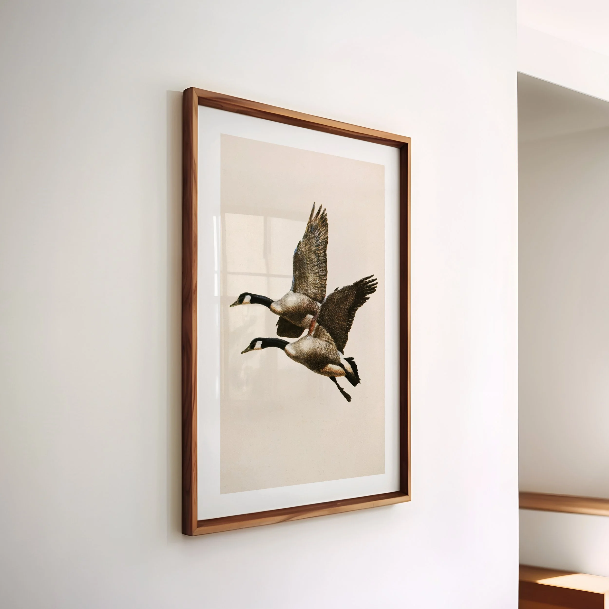 1x1-frame-side-angle-0105.jpg