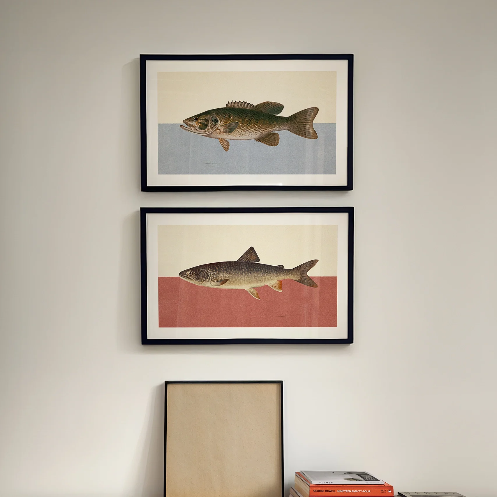colorblock-fishprints.webp
