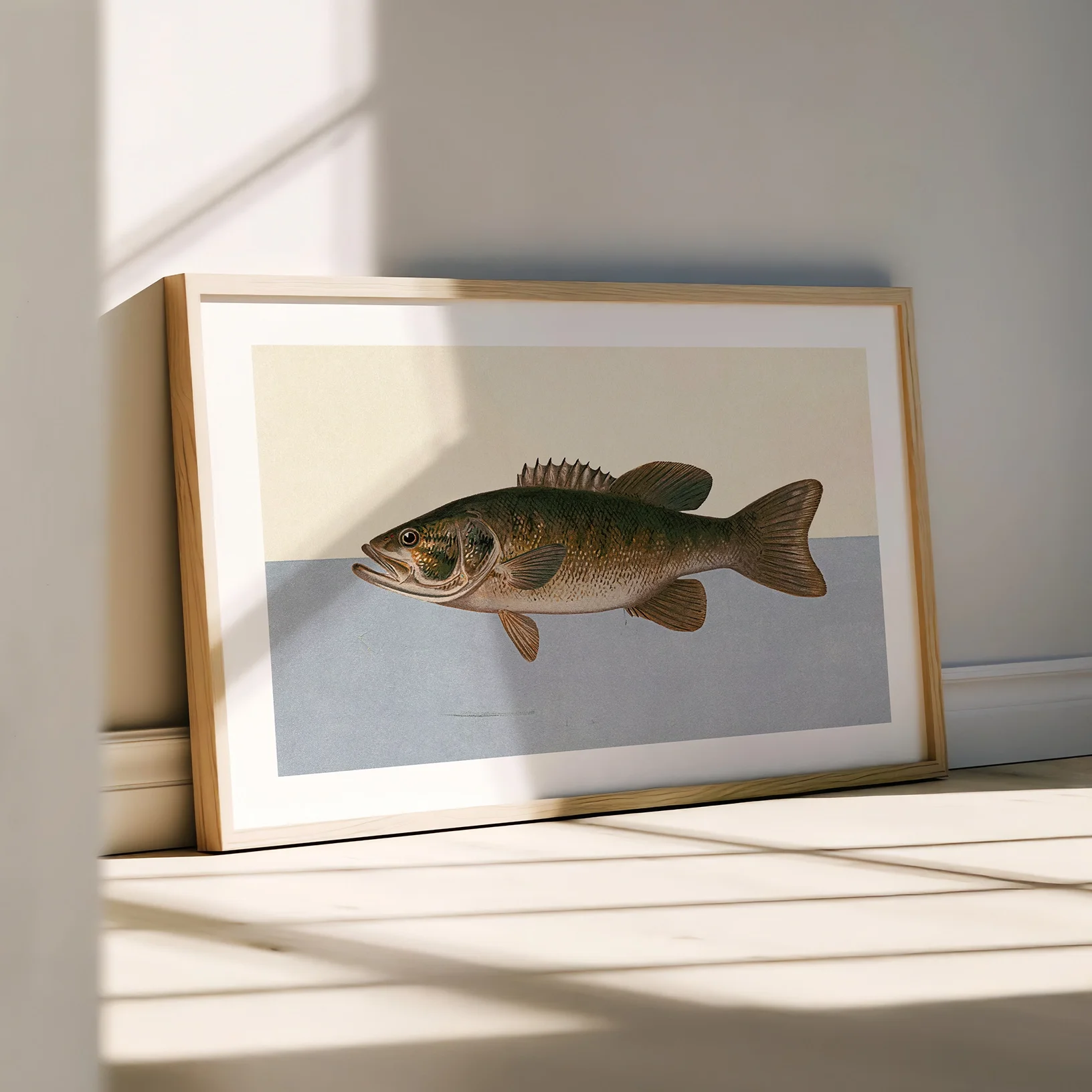 bass-fish-print.webp