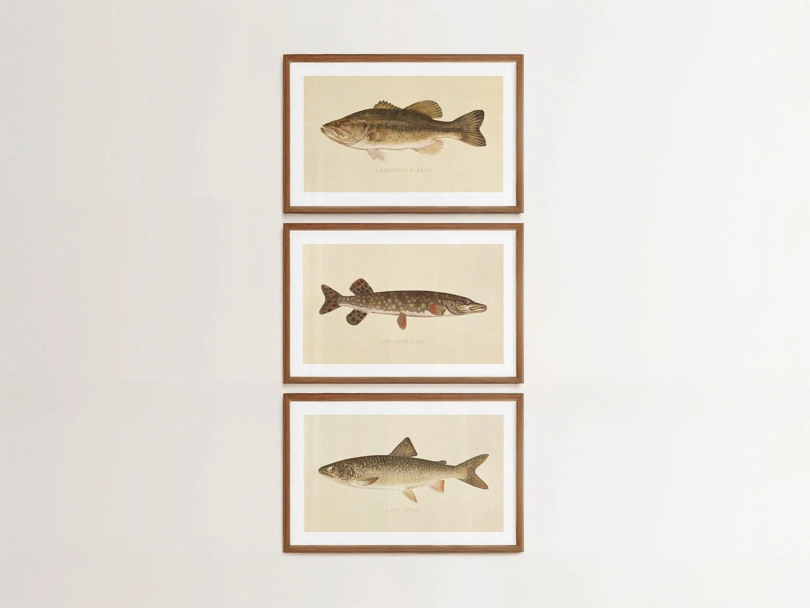 River & Lake Fishing Prints (Set of 3)