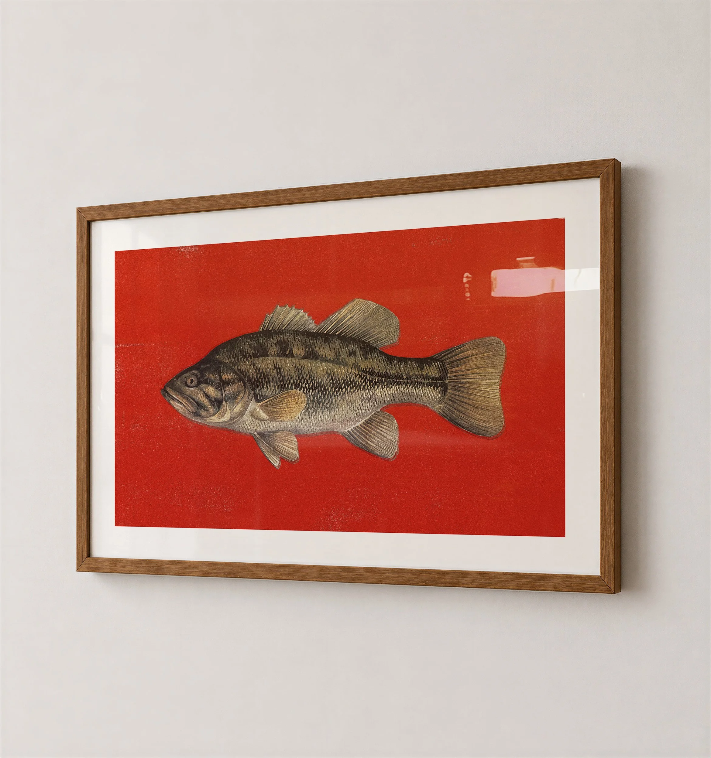 retro-blackbass-print.jpg