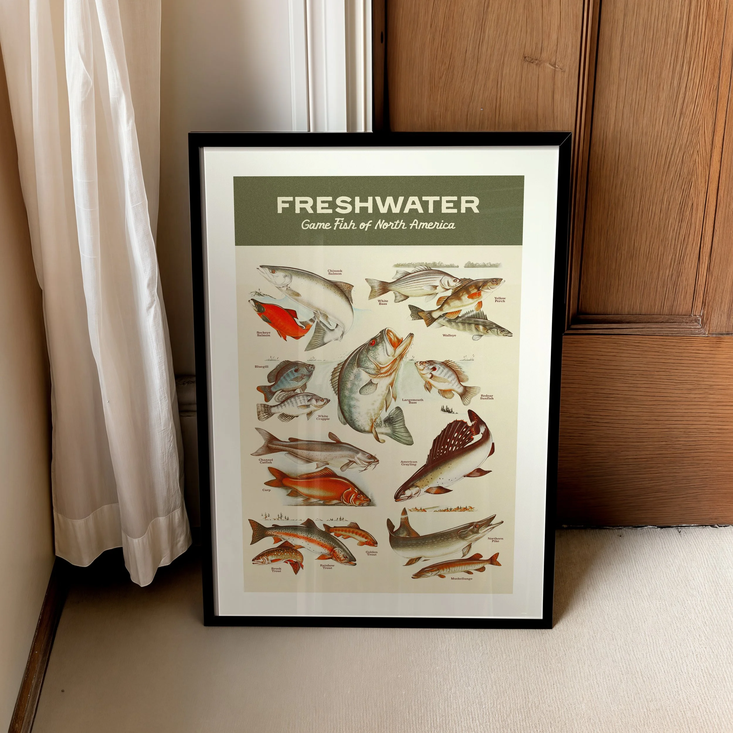 freshwater_fish_poster.jpg