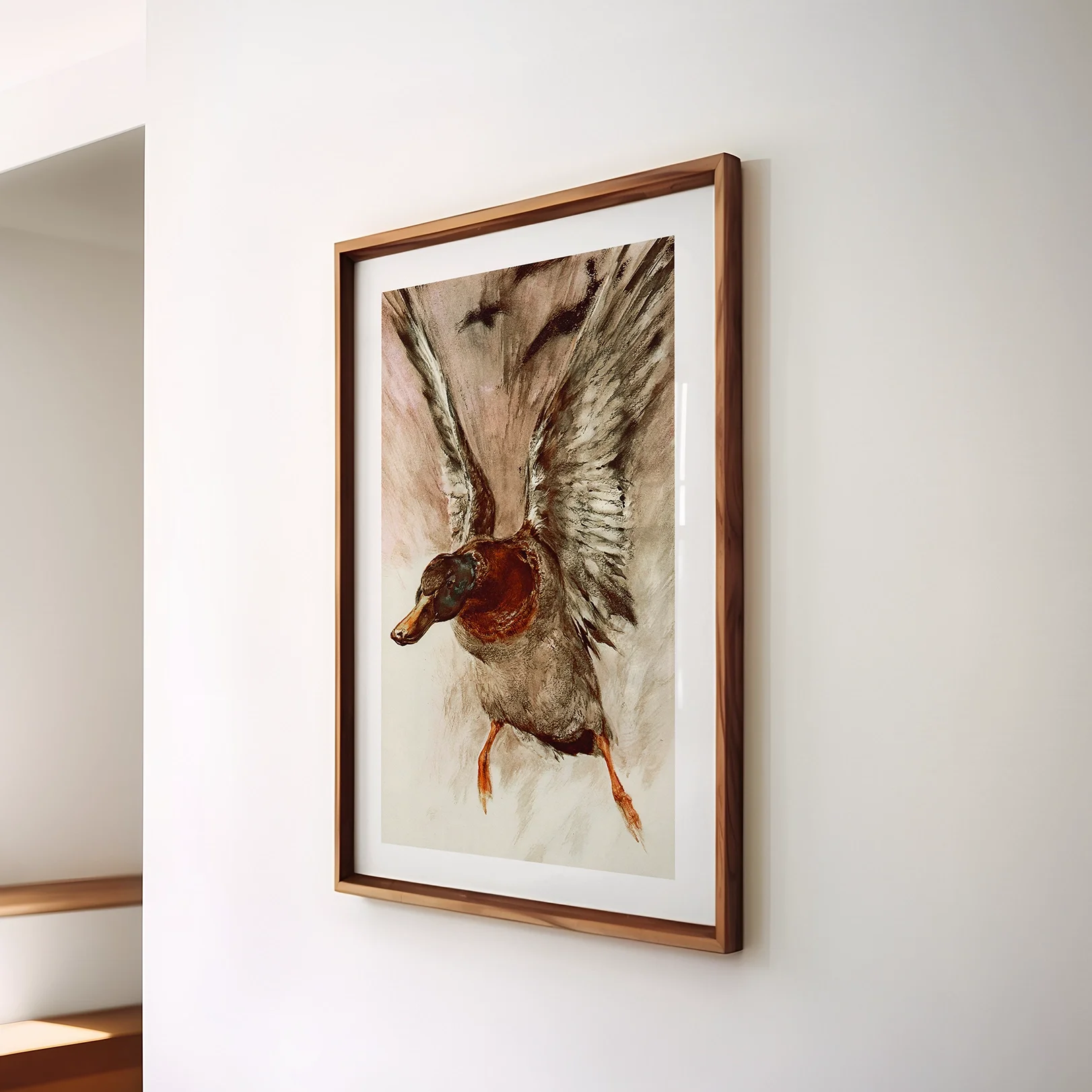 flight-mallrd-print.webp