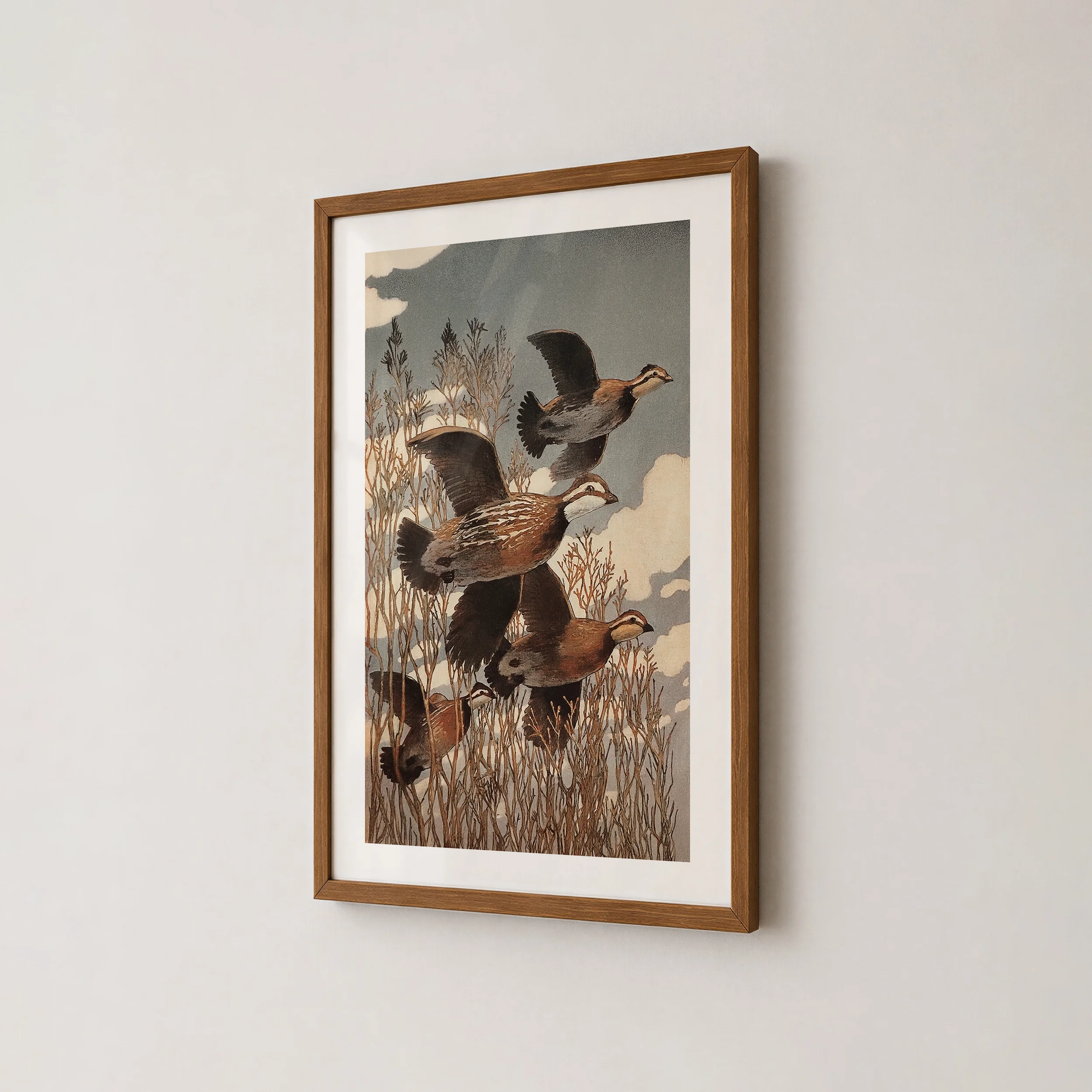 country-quail-wildlife-print.webp