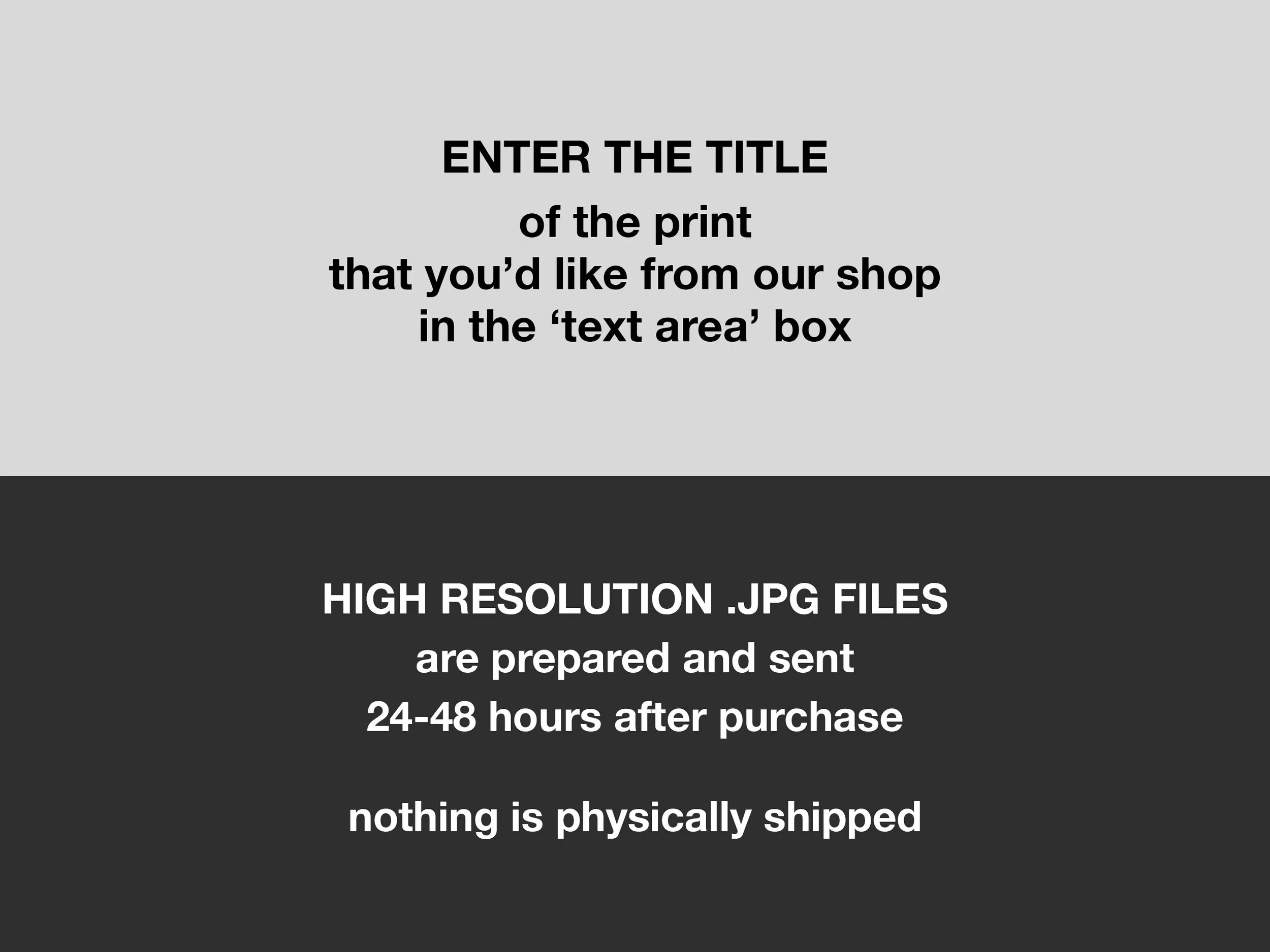 WEB_DIGITAL3.jpg
