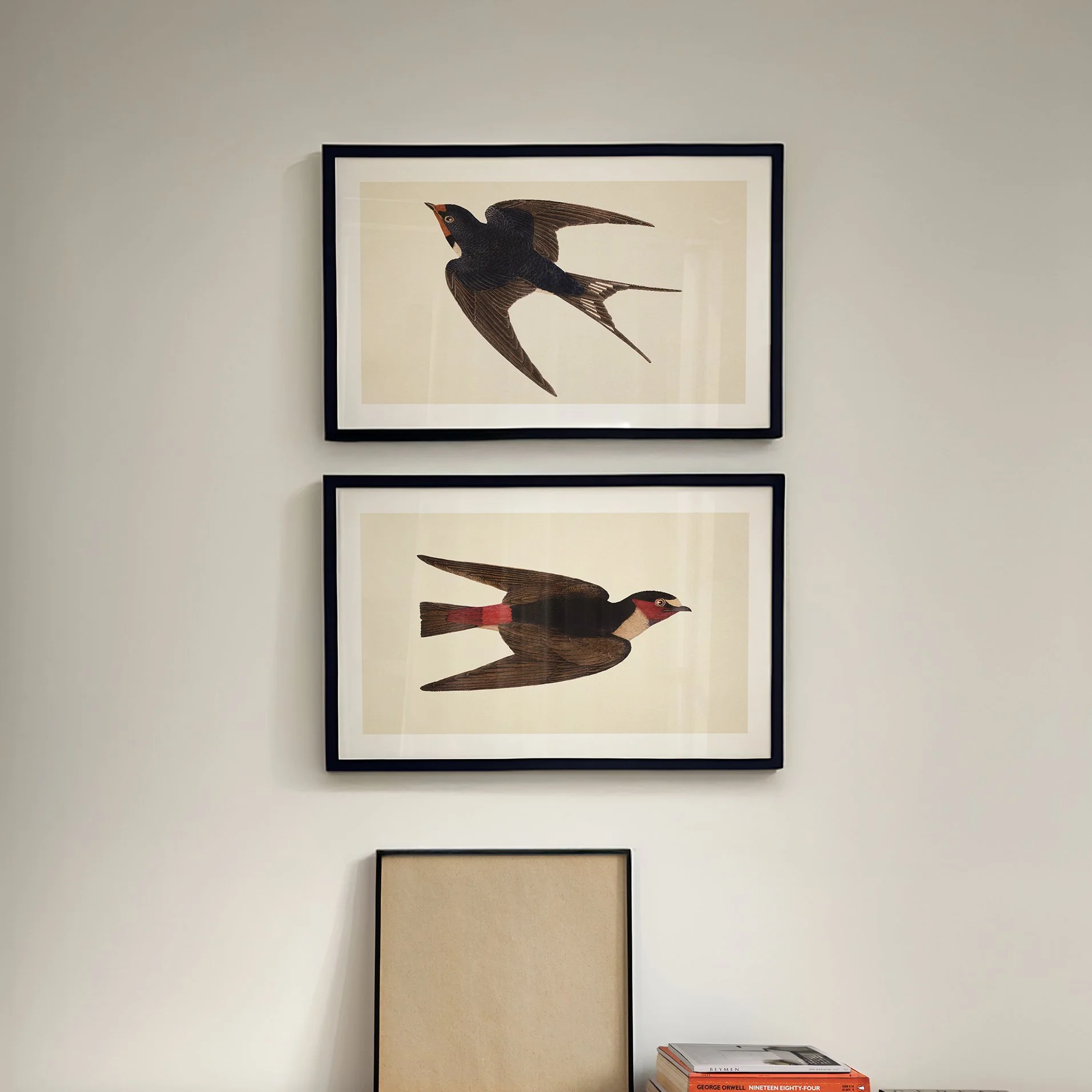 gallivanibirdprints.jpg