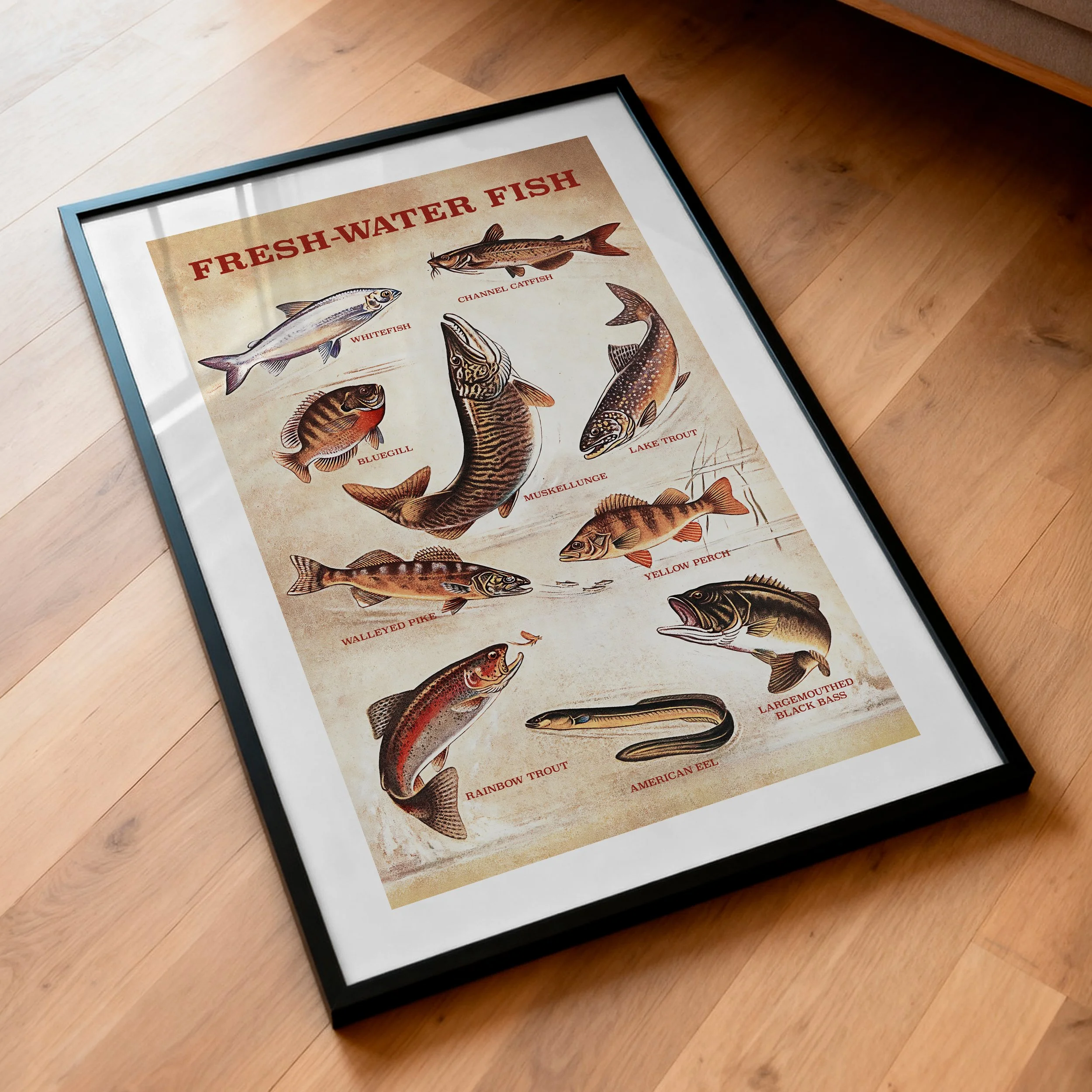 fresh-water-fish-poster.jpg