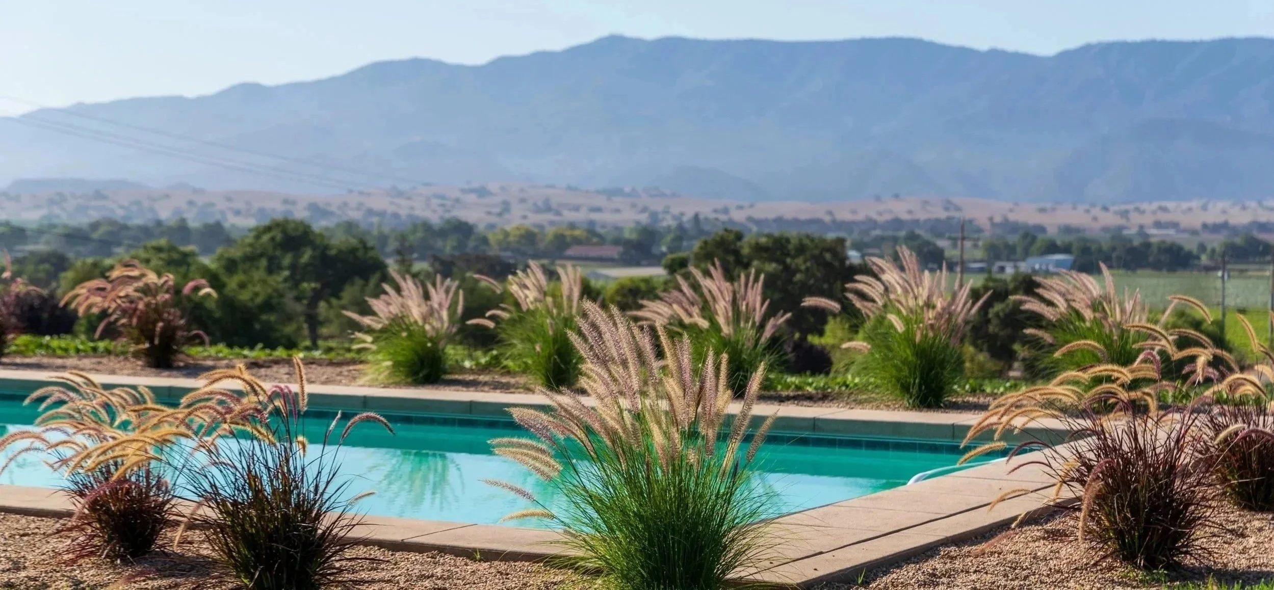 rectangular pool with landscaping around the perimeter and mountain views in the distance.