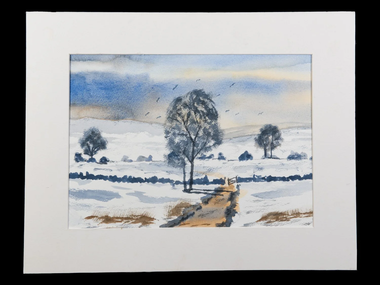 Mounted Original Water Colour  approx 47*37 cms  £60