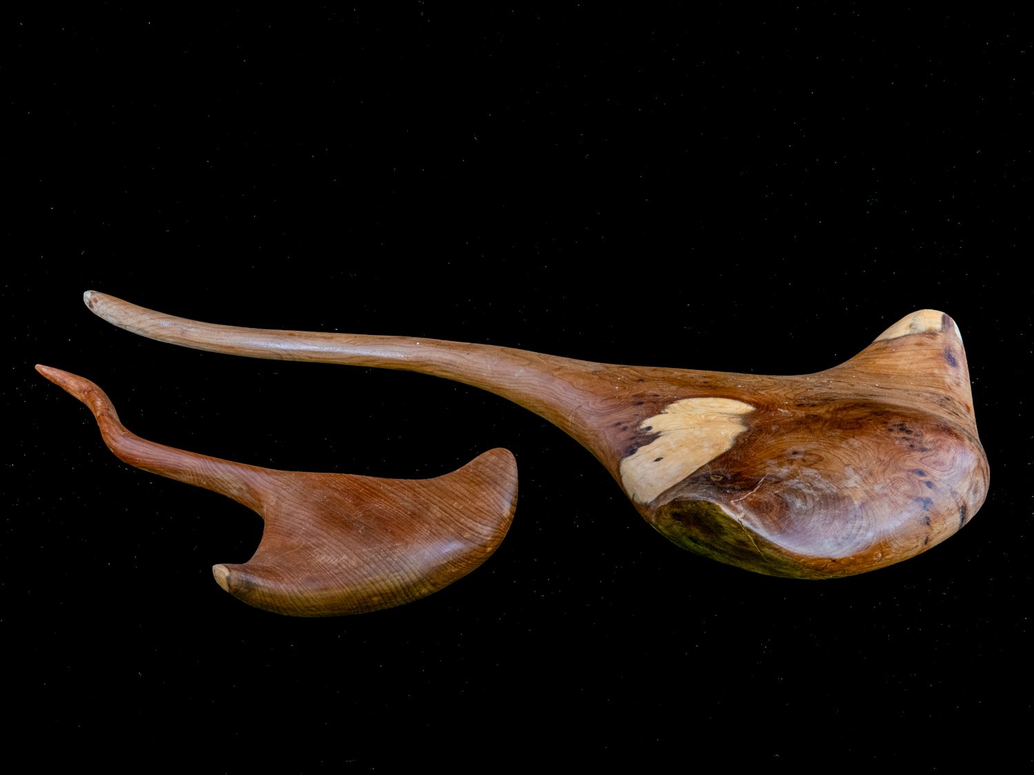 Rays Yew Approx 40 and 27 cms £60 and £30