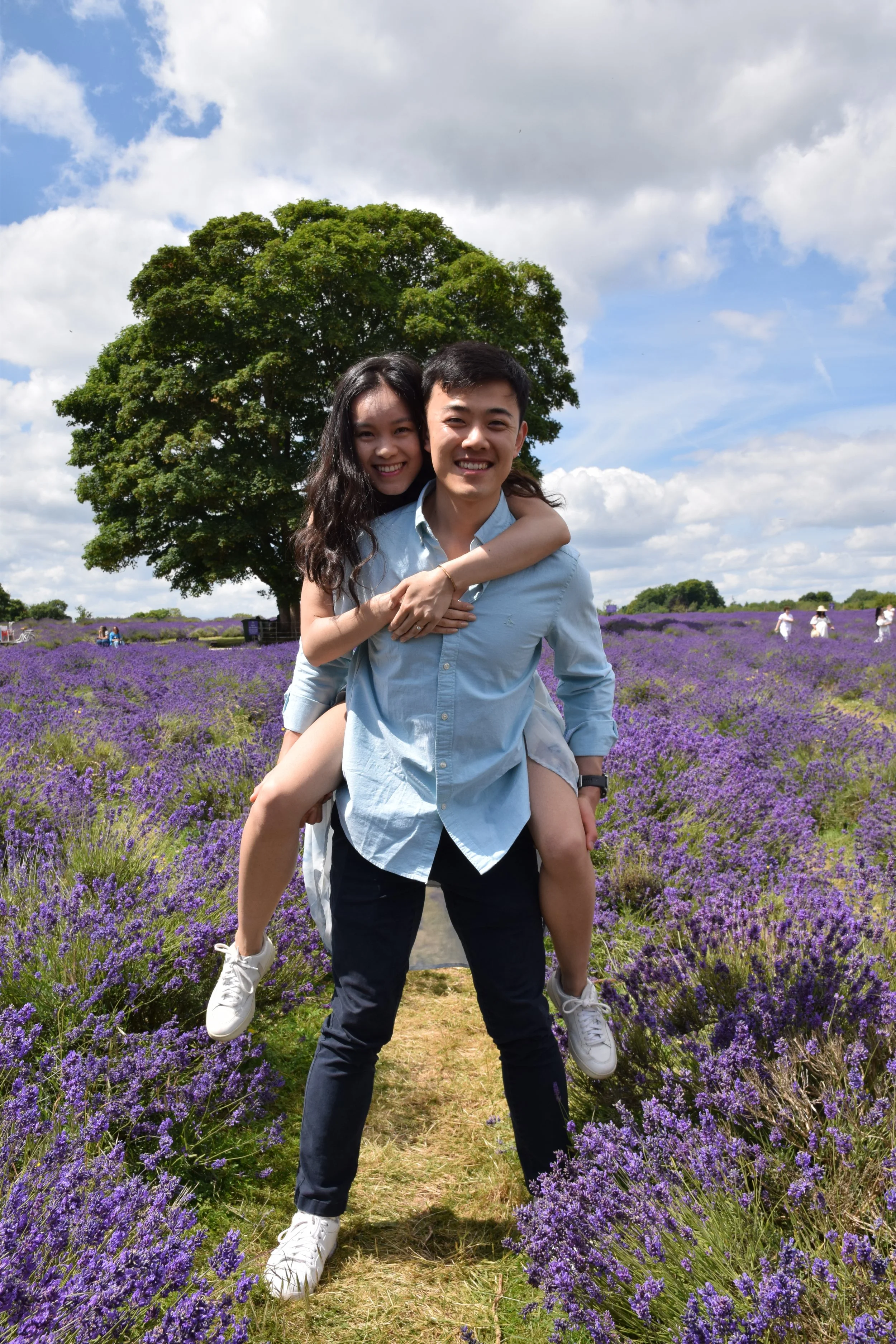 Sutton, England - July 2024