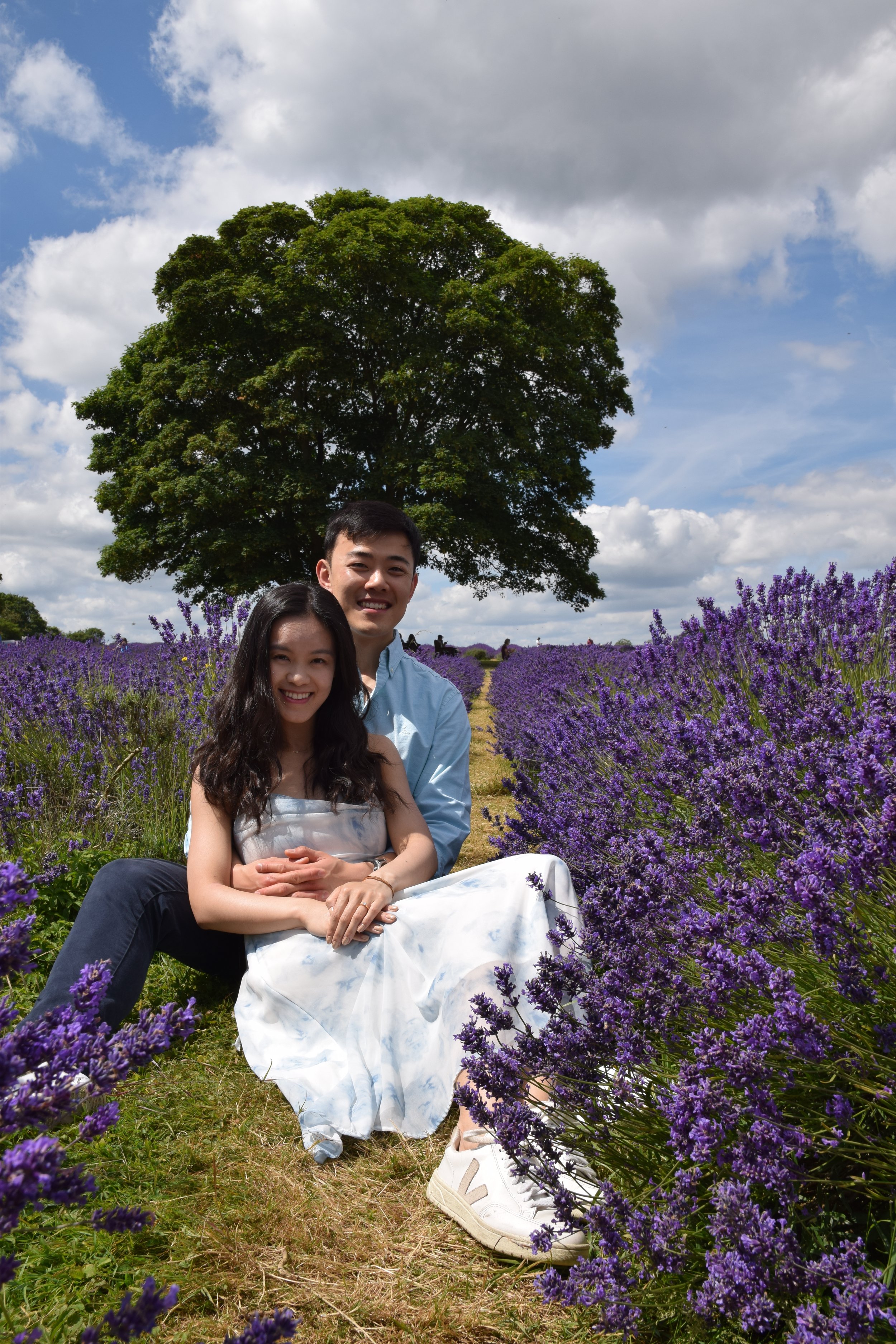 Sutton, England - July 2024