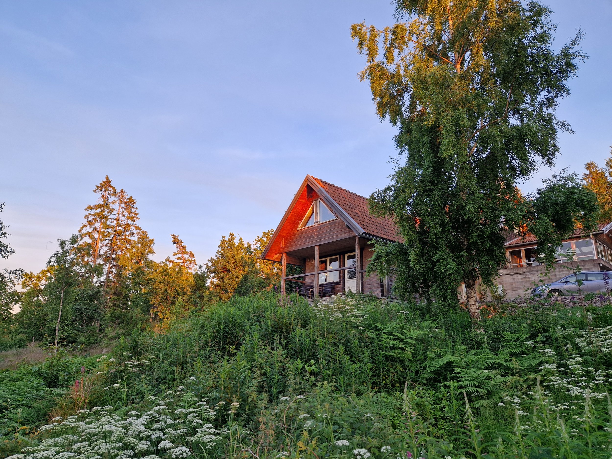 En sommarstuga med stora glasfönster och terrass, omgiven av gröna träd och växter, under en klar himmel.